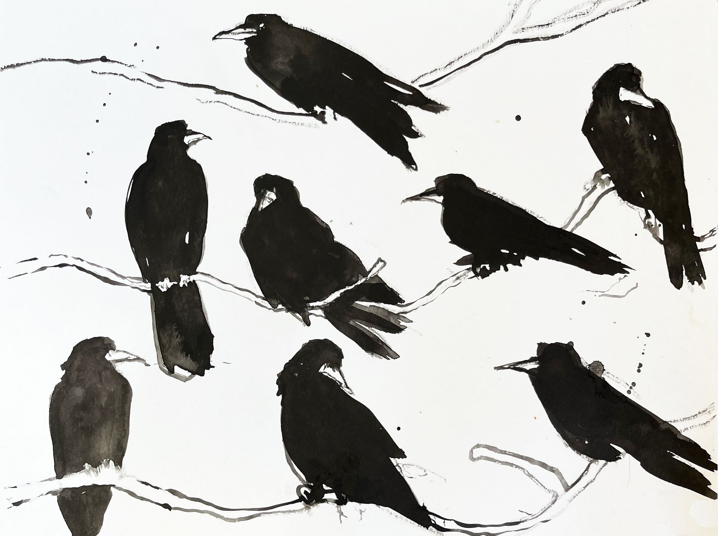 Waiting crows