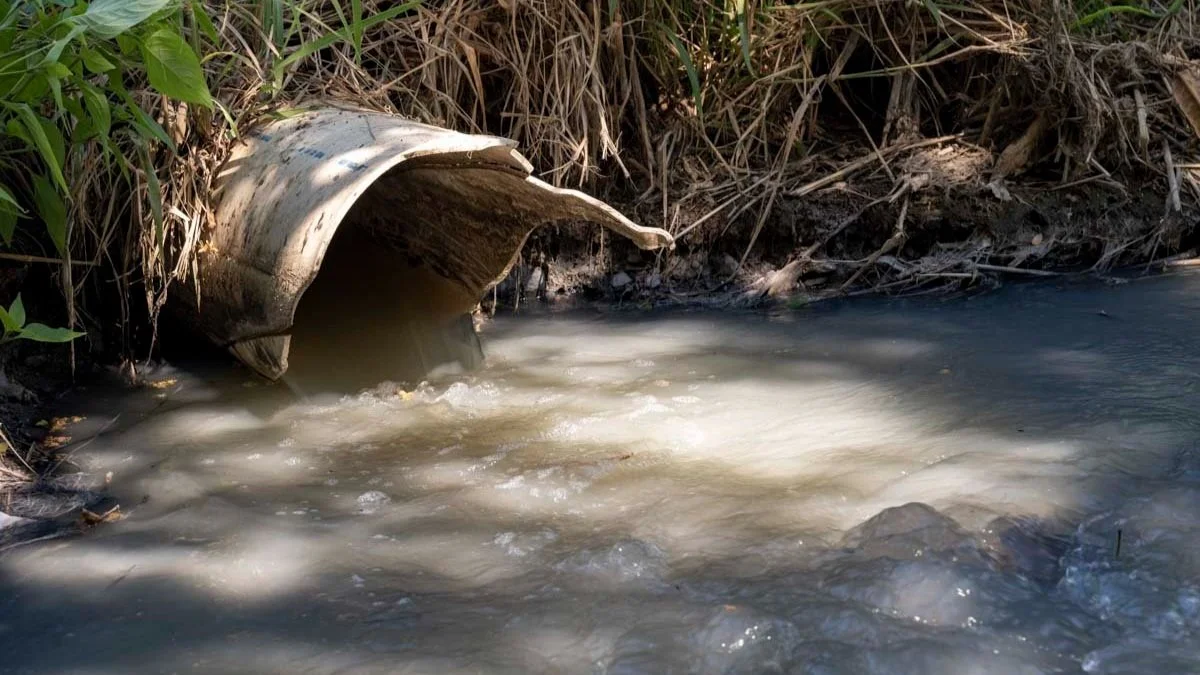 Colaboración fotográfica con Radio UdeG Autlán