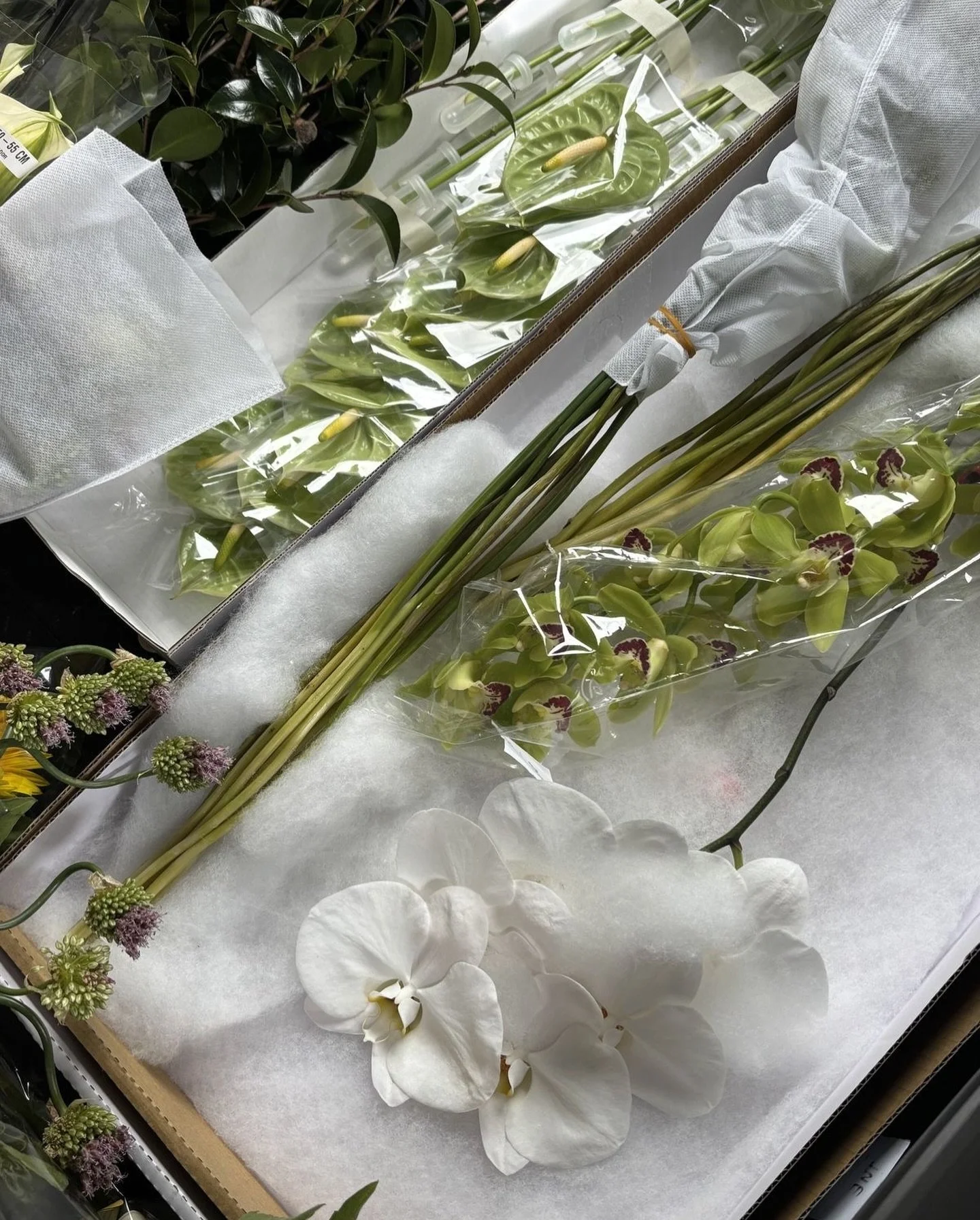 A morning market from July