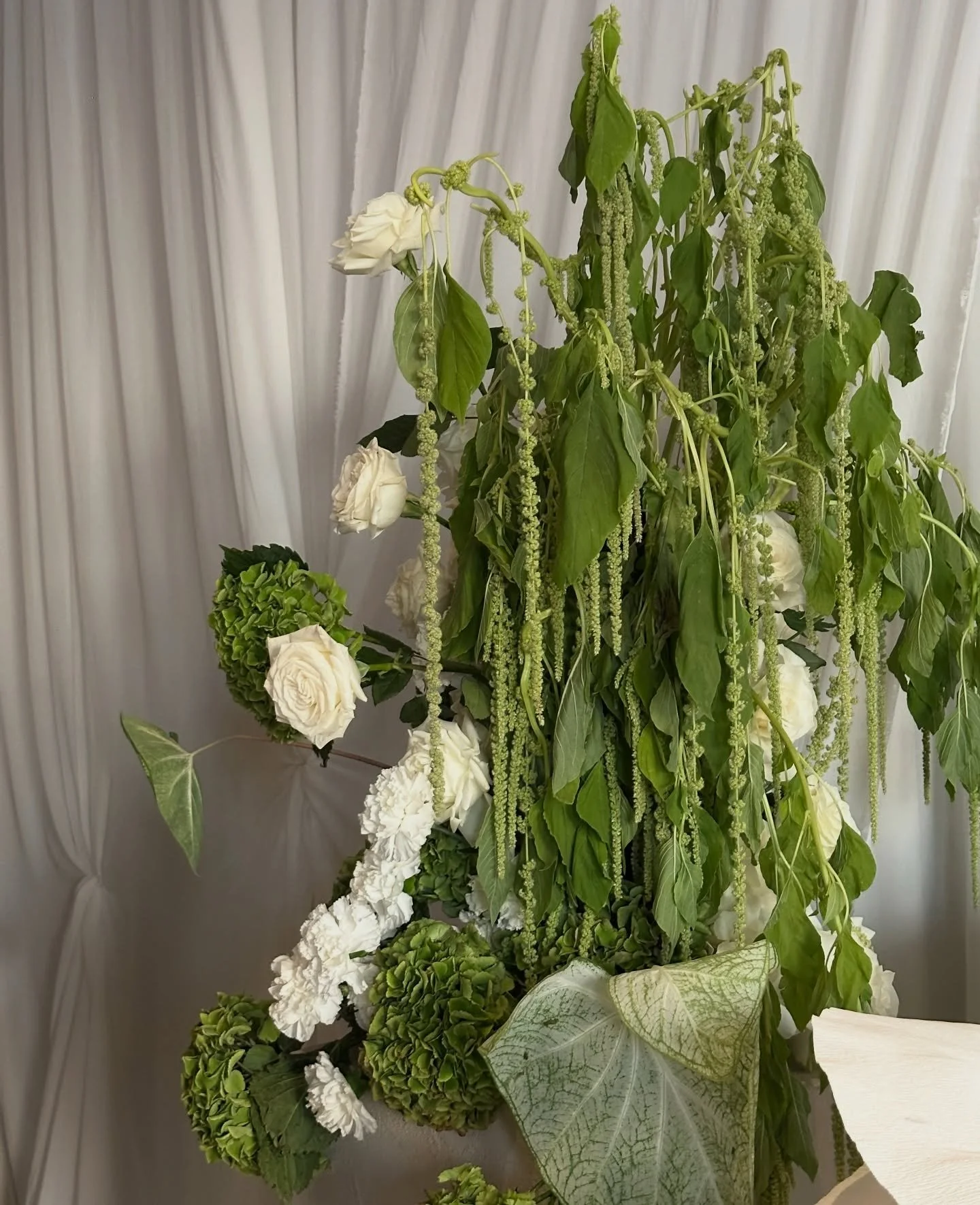 More from Teagan and Chloe&rsquo;s day ✨ content captured by @createddbyg