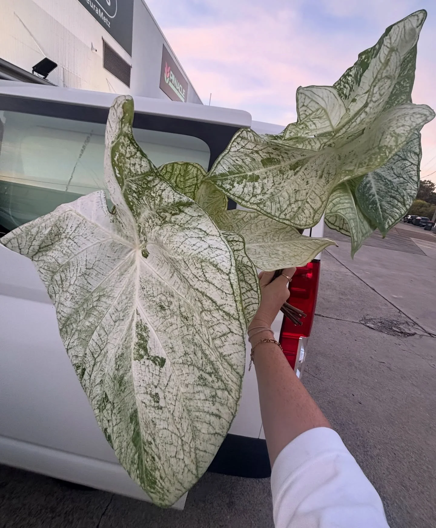 Making the 3am wakeup easier, if only we could use these in every wedding 🥹