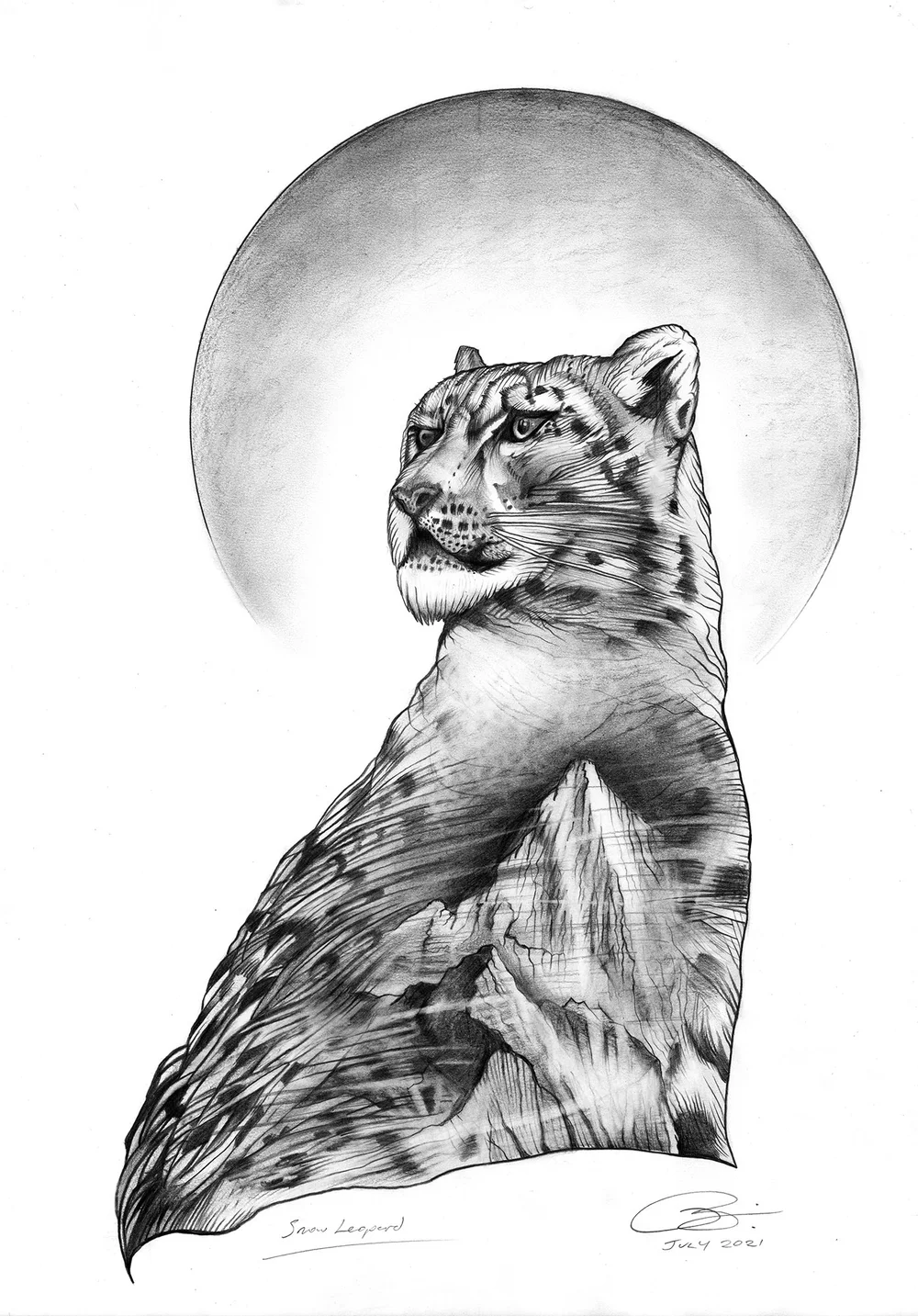 Snow Leopard | Pencil on 200 gsm heavyweight paper | 42 x 59.4 cm | 2021