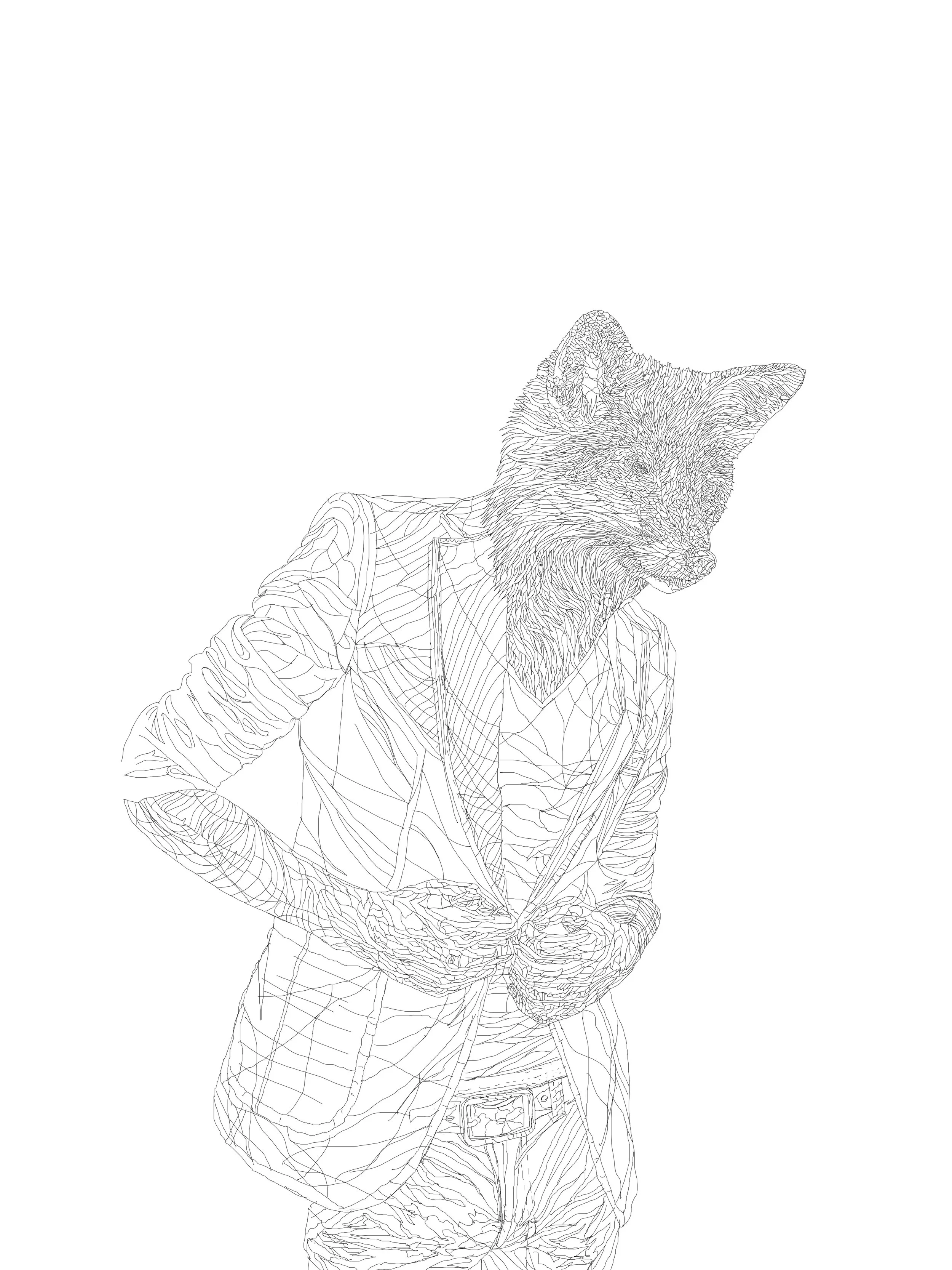 fox-line-drawing.jpg