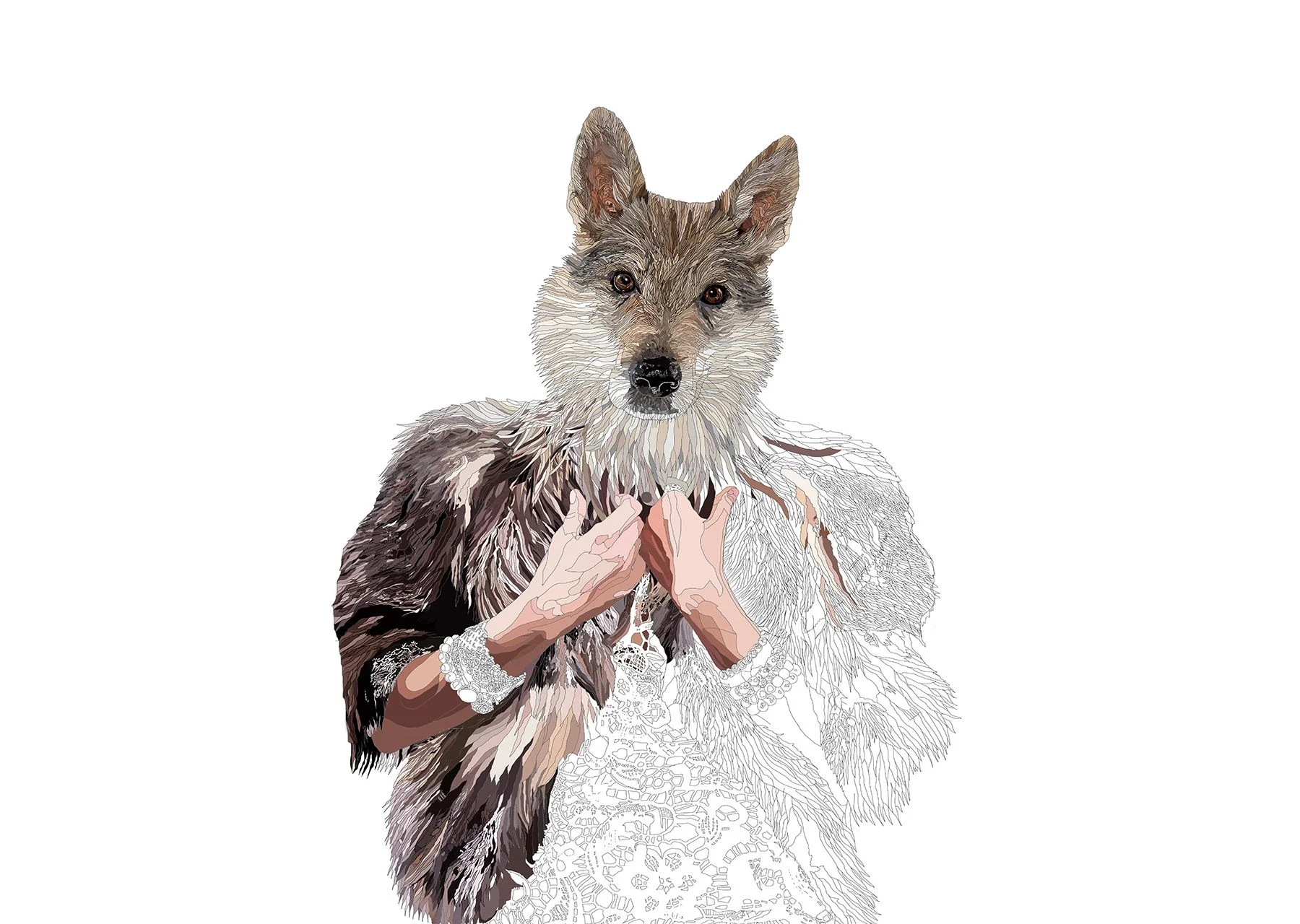 wolf1-line.jpg