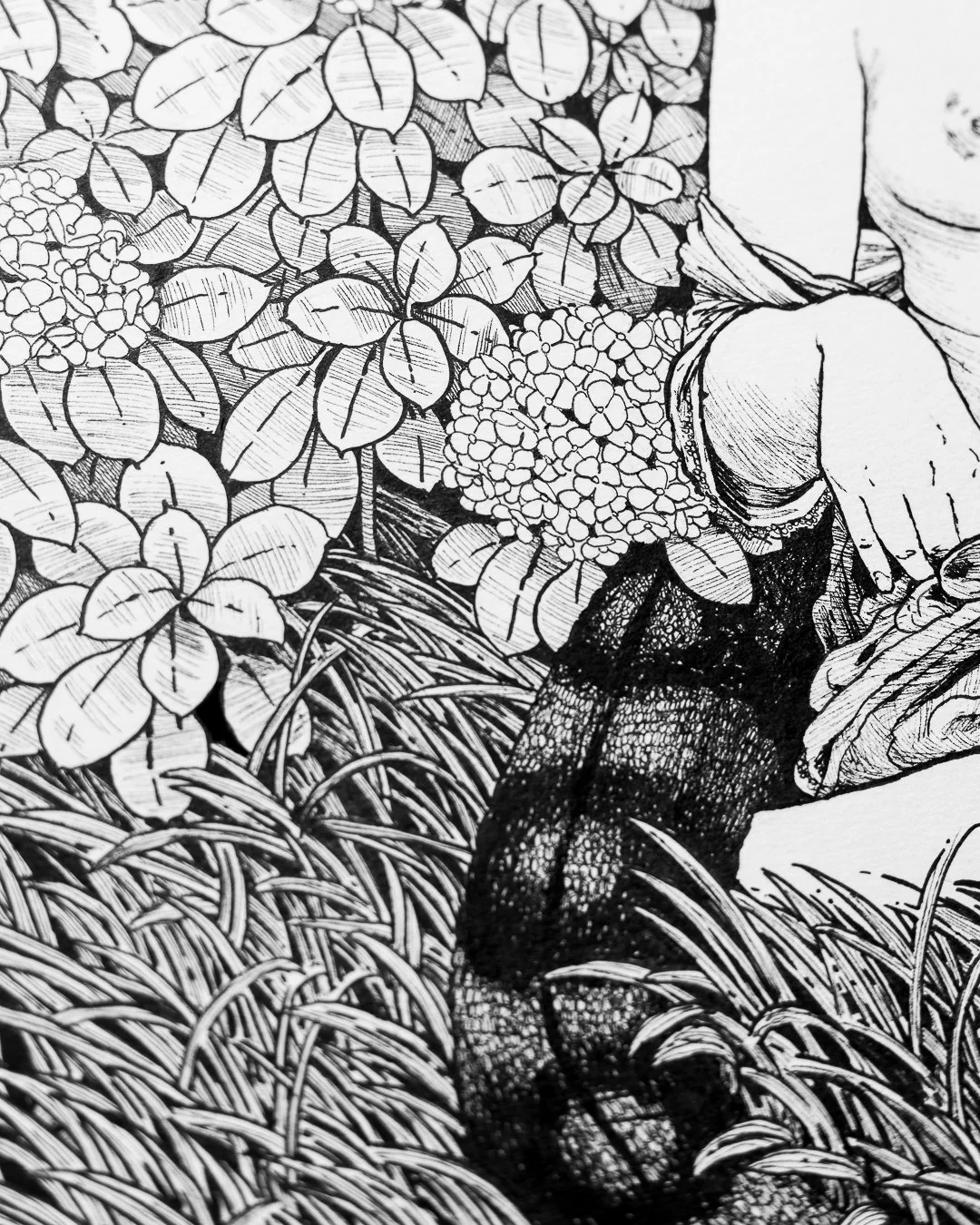 Black and white illustration of a person kneeling in a garden surrounded by leaves, flowers, and tall grass.