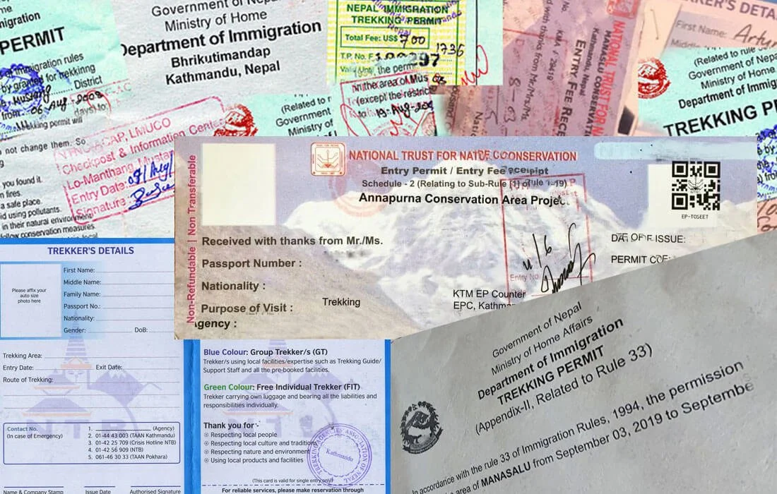 TIMS card and trekking permits required for hiking in Nepal, displayed together before a Himalayan trek