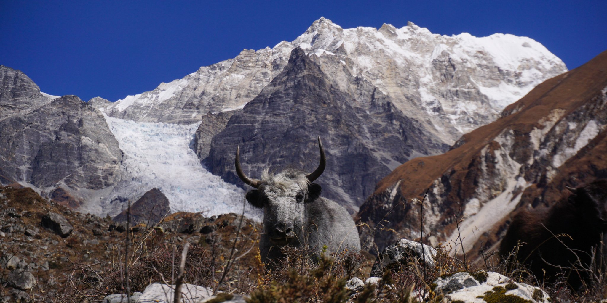 Langtang CAN-06.jpg