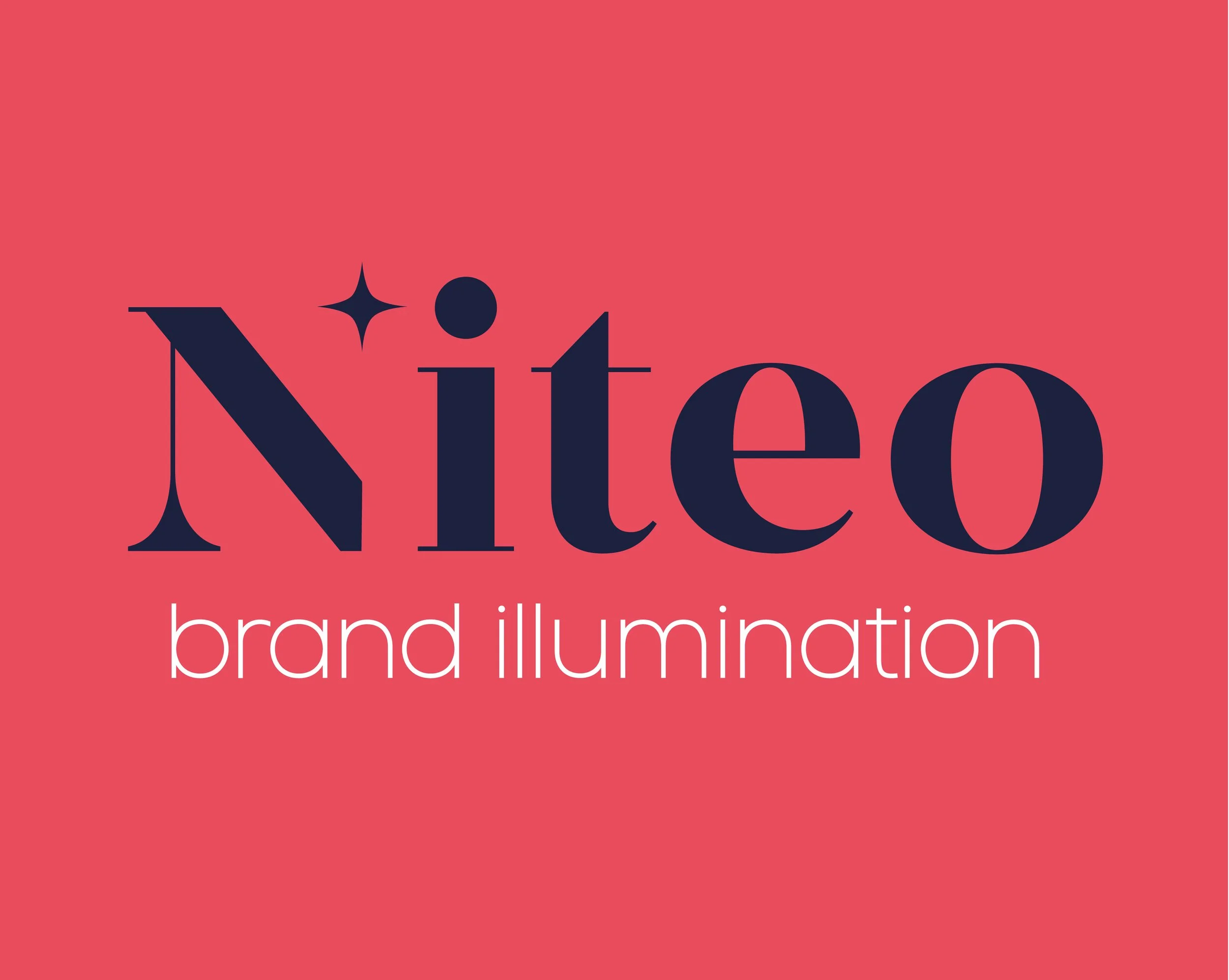 Niteo brand guide - basics-16.jpg