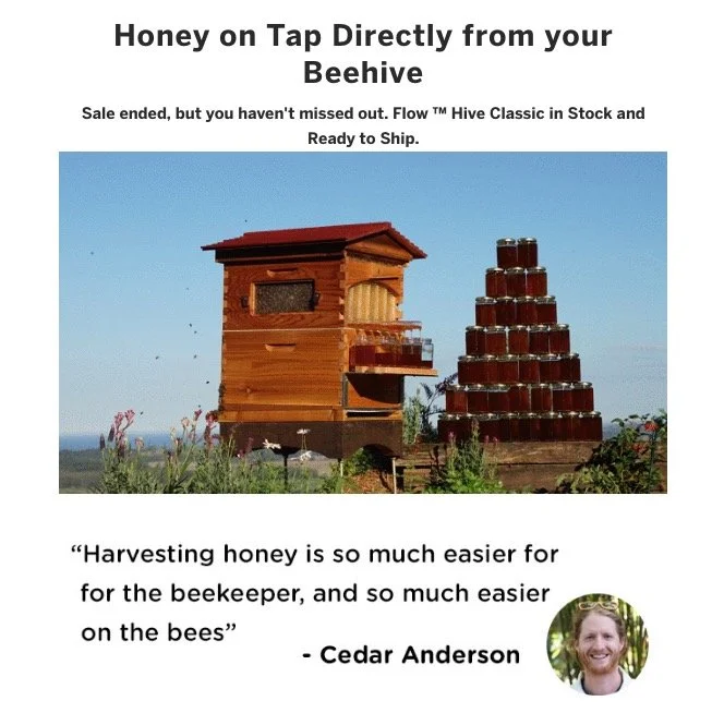 Powerful of storytelling Cedar Anderson Flow Hive Founder personal branding