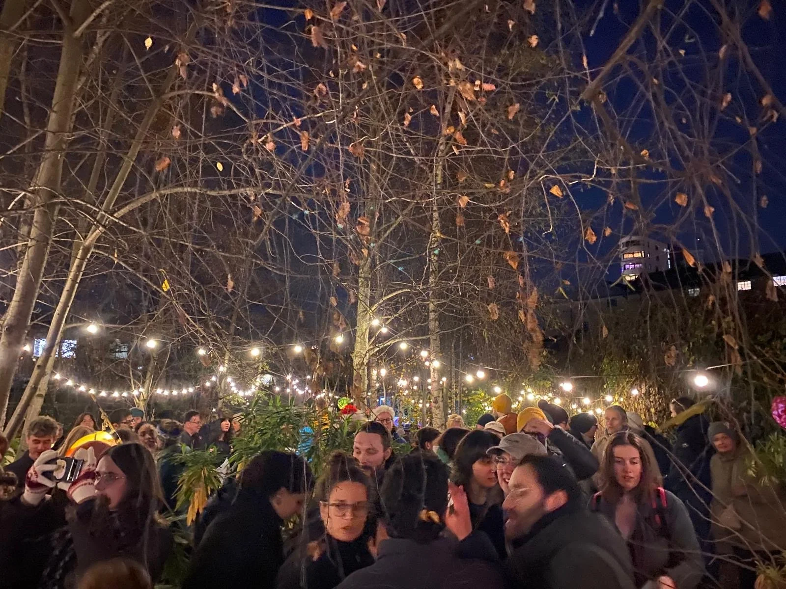 Festive Singing at Dalston Curve Garden 2024 (Copy)