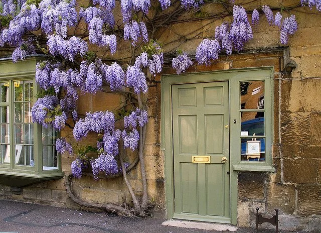 Green door and window on a stone wall, with purple wisteria flowers hanging overhead and around.