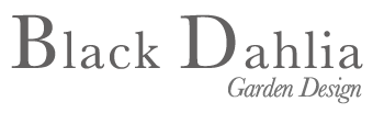 Black Dahlia Garden Design