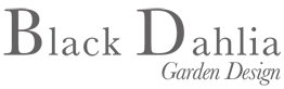 Black Dahlia Garden Design