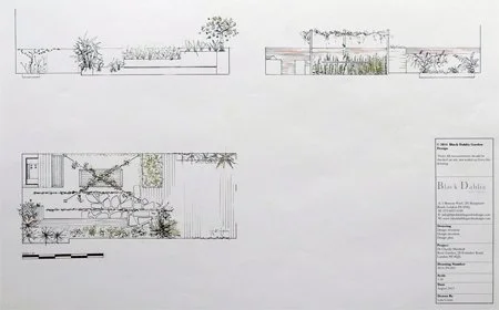 BLACK DAHLIA GARDEN DESIGN