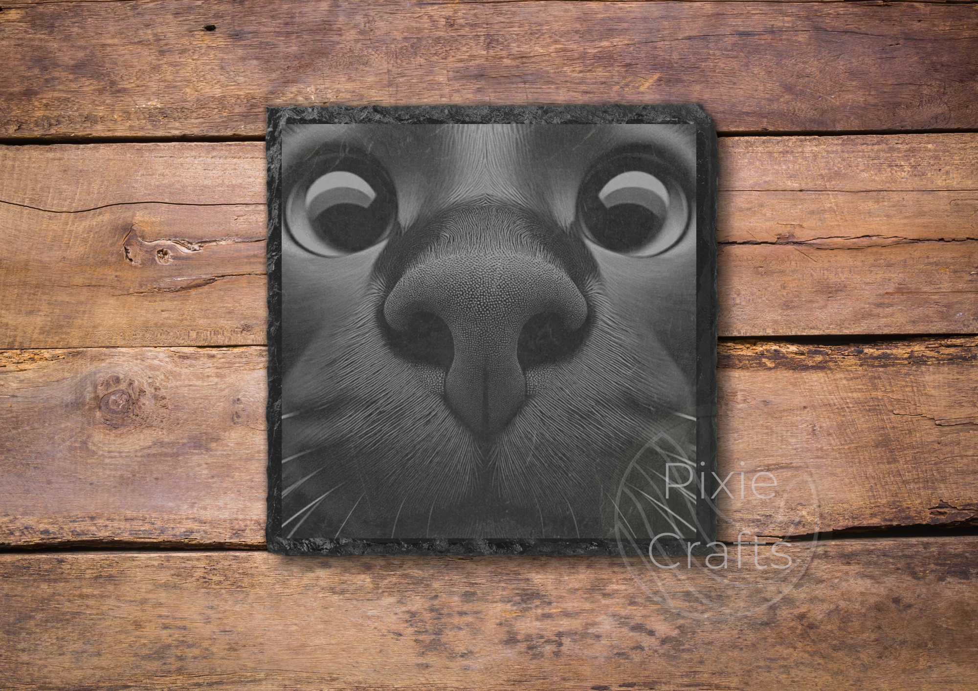 BLACK CAT.png