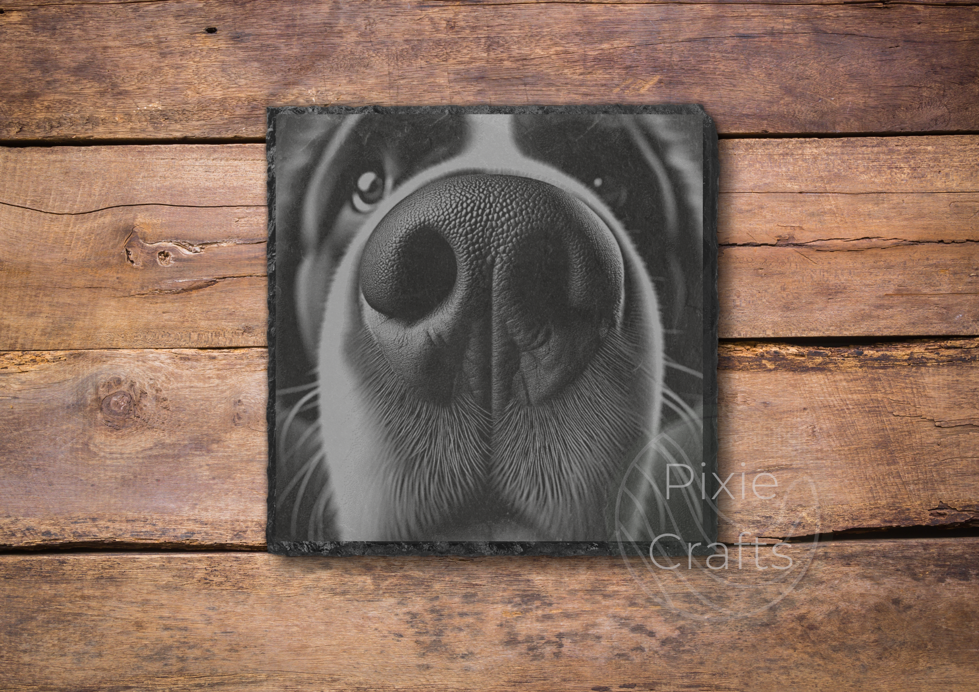 ST BERNARD.png