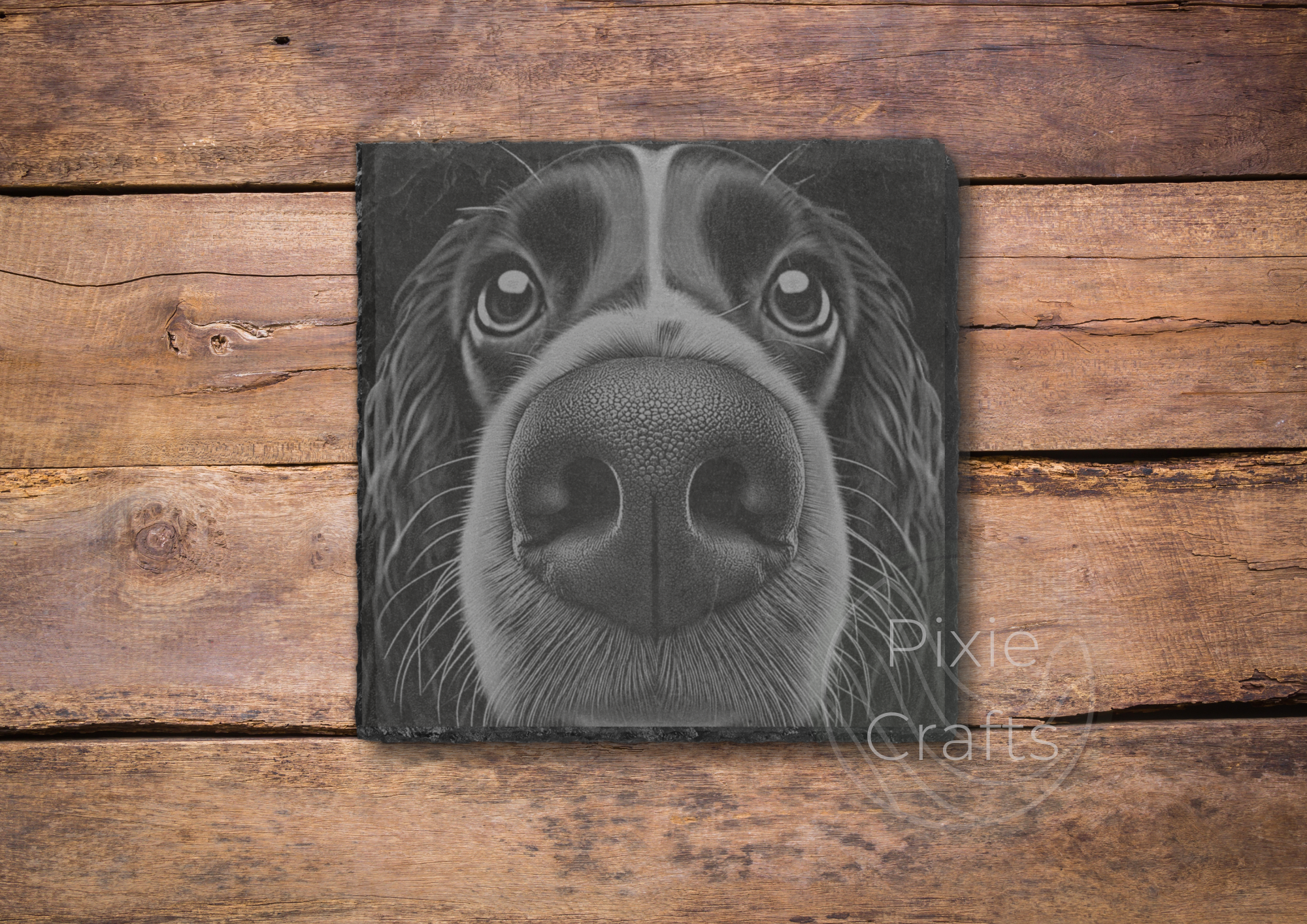 Springer Spaniel Booper Slate Coaster.png