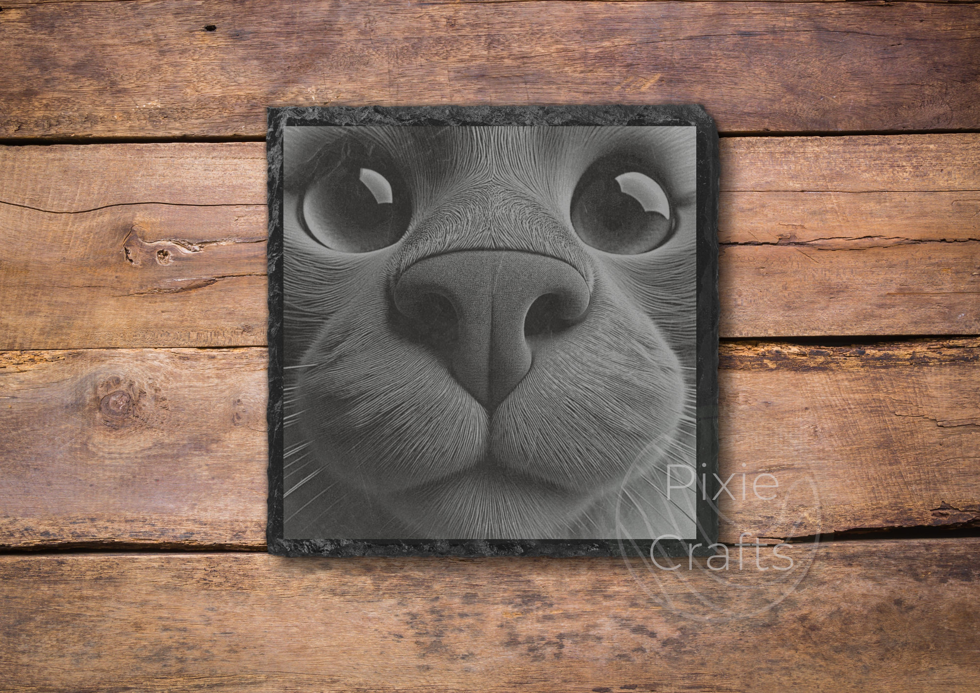 RAGDOLL CAT.png