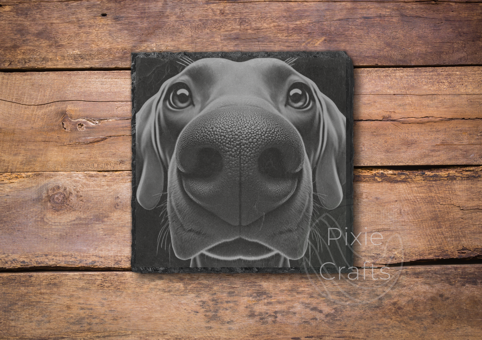 WEIMARANER.png