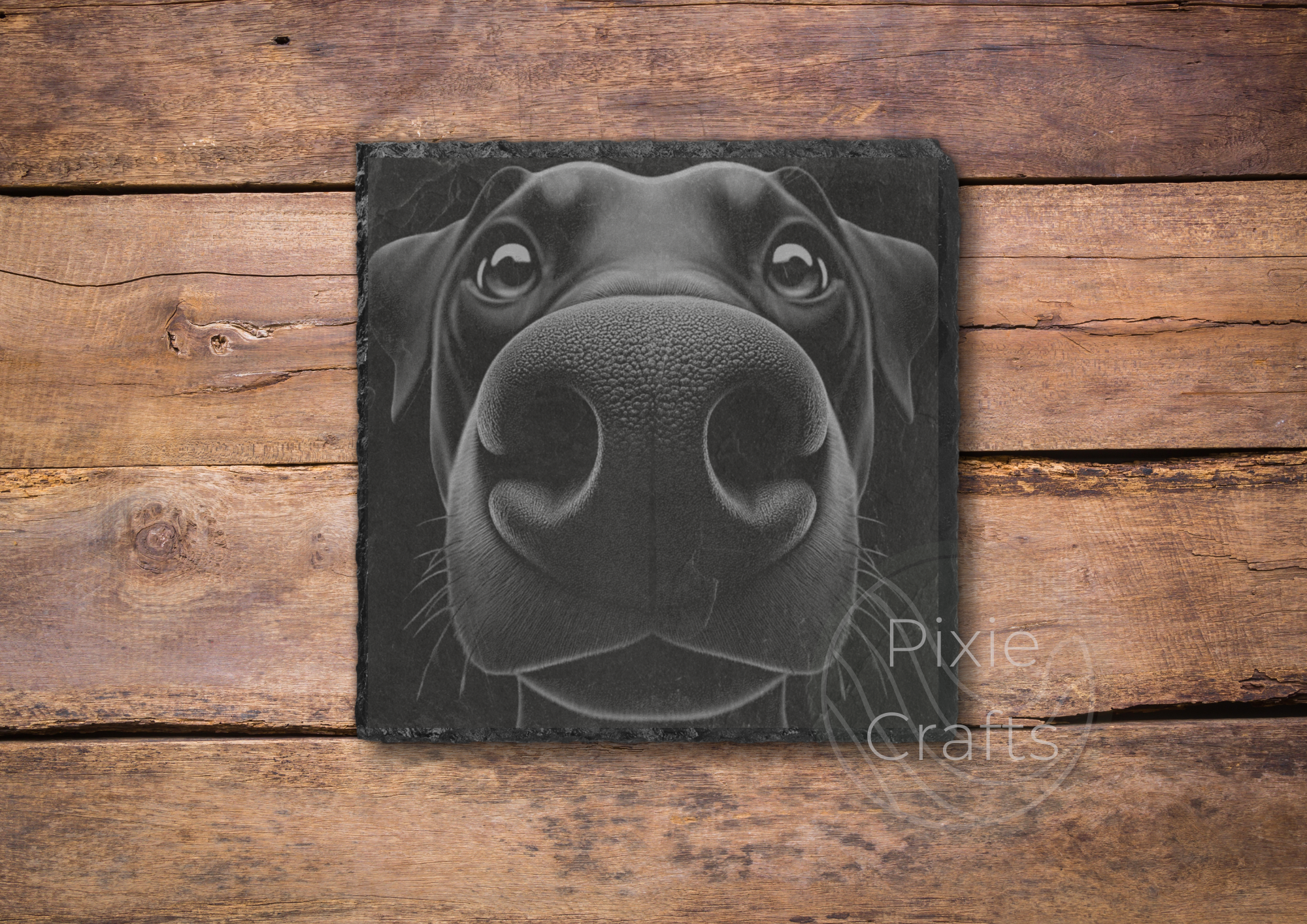 DOBERMAN.png