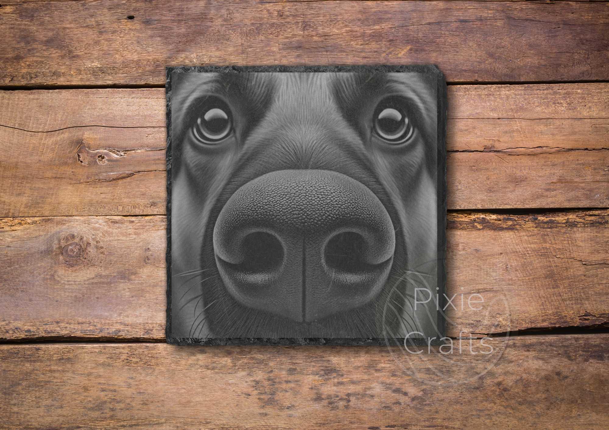 GERMAN SHEPHERD.png