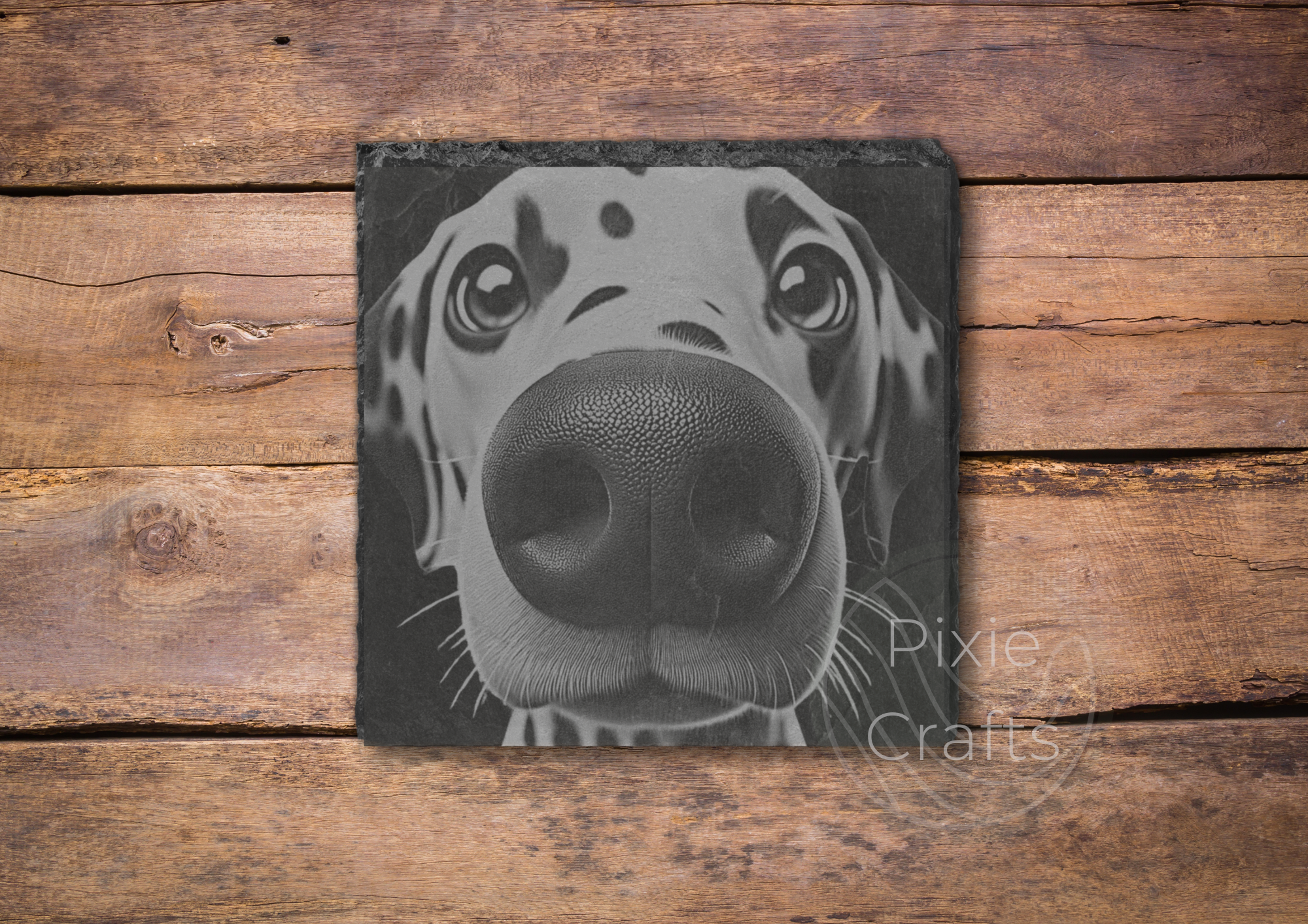 Dalmatian Booper Slate Coaster.png