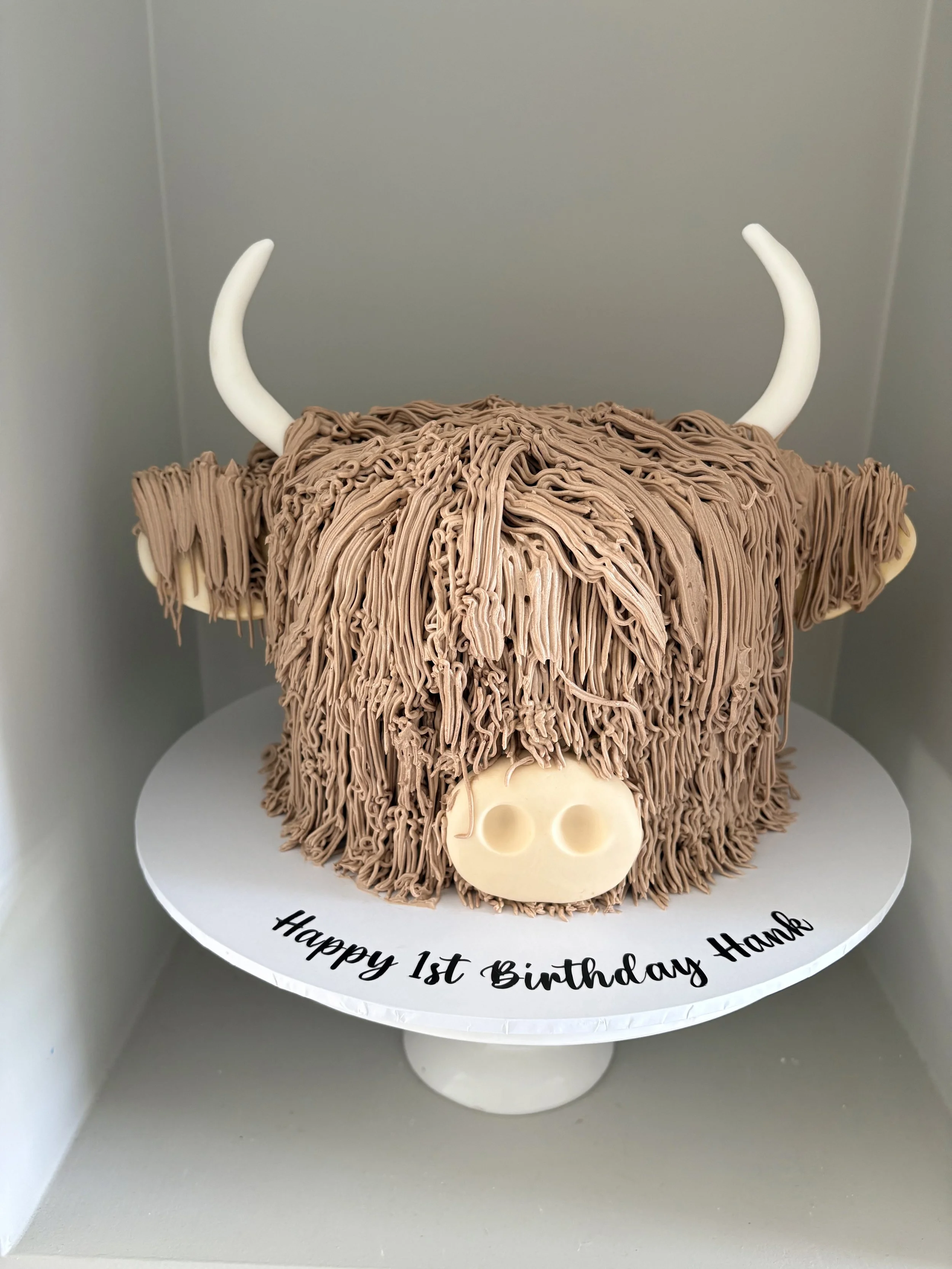 Highland Coo