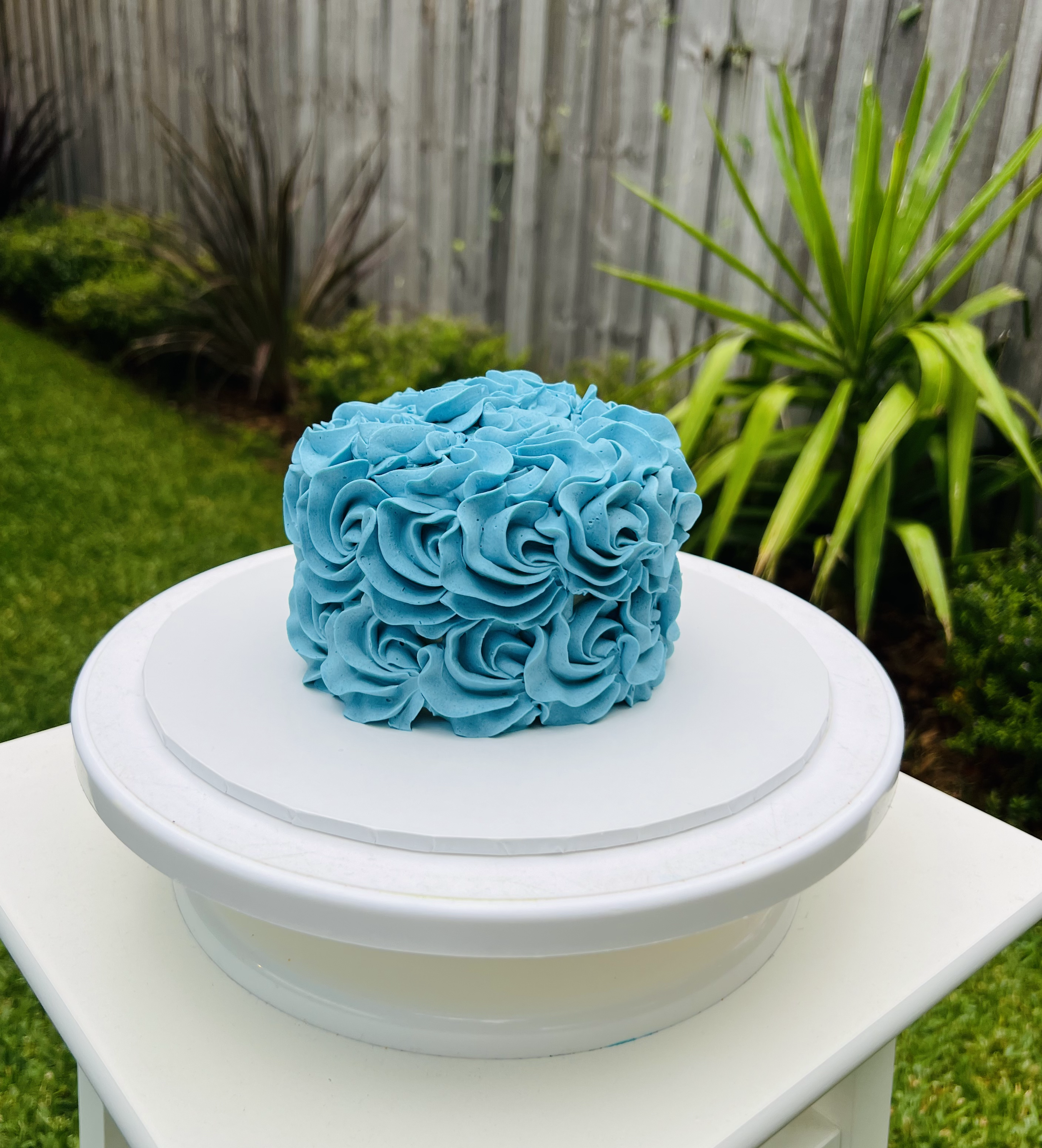 Rosettes smash cake