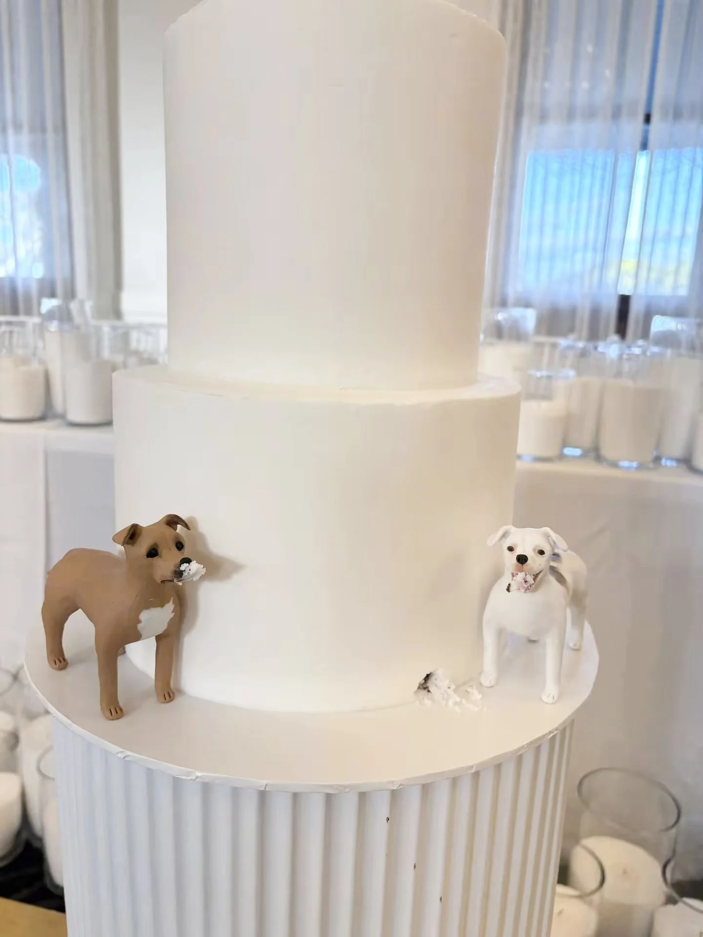 Pure White - Cheeky Doggies close up