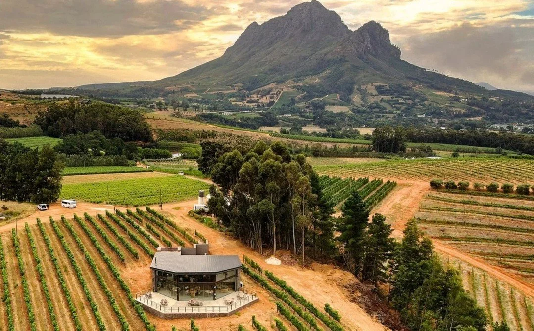 Anton Malan from Rainbow's End is joining us all the way from Stellenbosch for a very special South African Winemaker Supper Club hosted at Vivat Bacchus London Bridge on Thu, 16th Oct for &pound;130 pp

Join us for an exclusive five-course wine pair