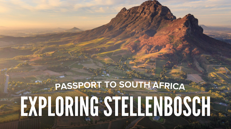 The Ultimate South African Wine Tasting in London: Next Stop, Stellenbosch
