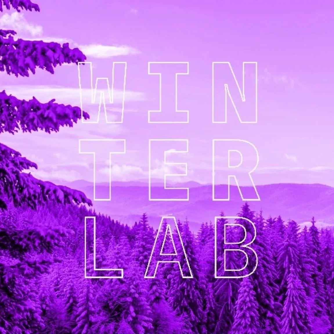 Winter+Lab+22.jpg