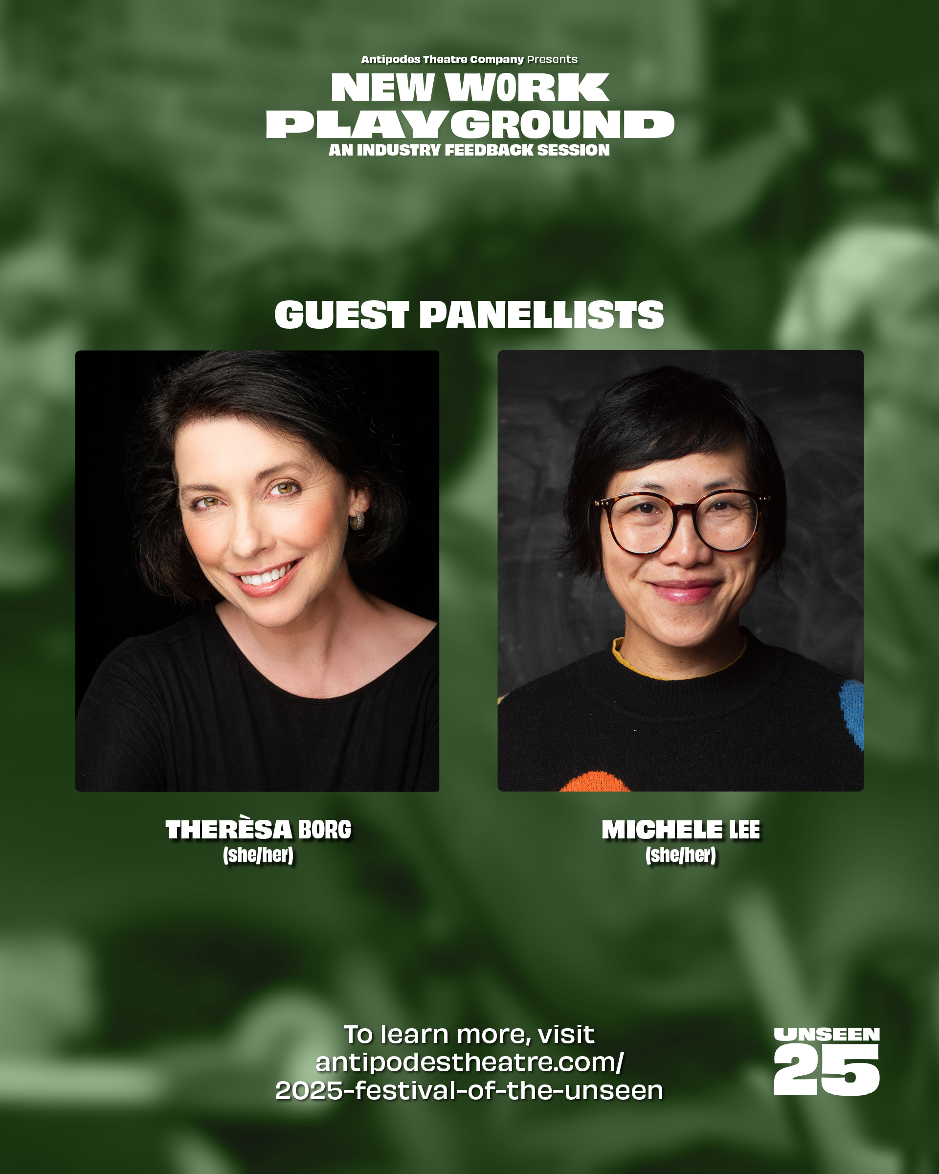 NWPlayground Panellists.png