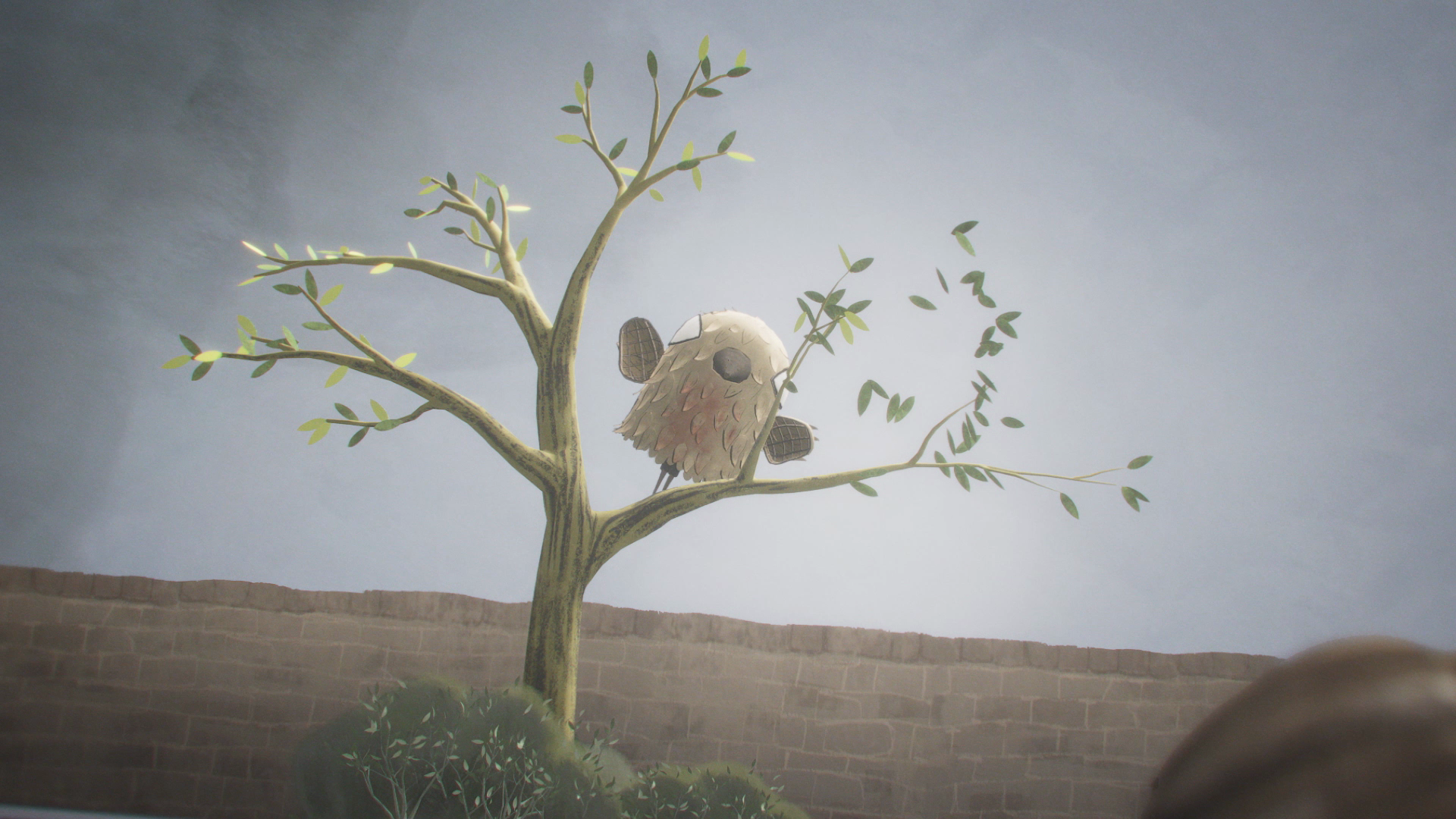 vlcsnap-2026-05-21-12h18m59s020.png
