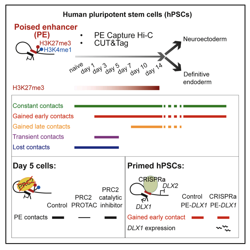 Marina’s and Monica’s paper is out!