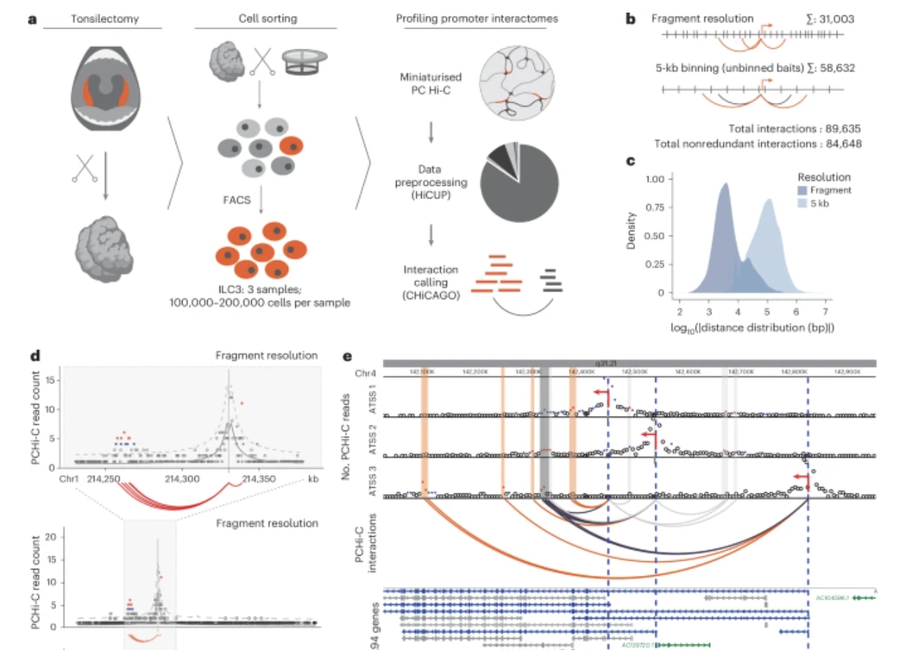 Valeriya’s and Helen’s paper is out!