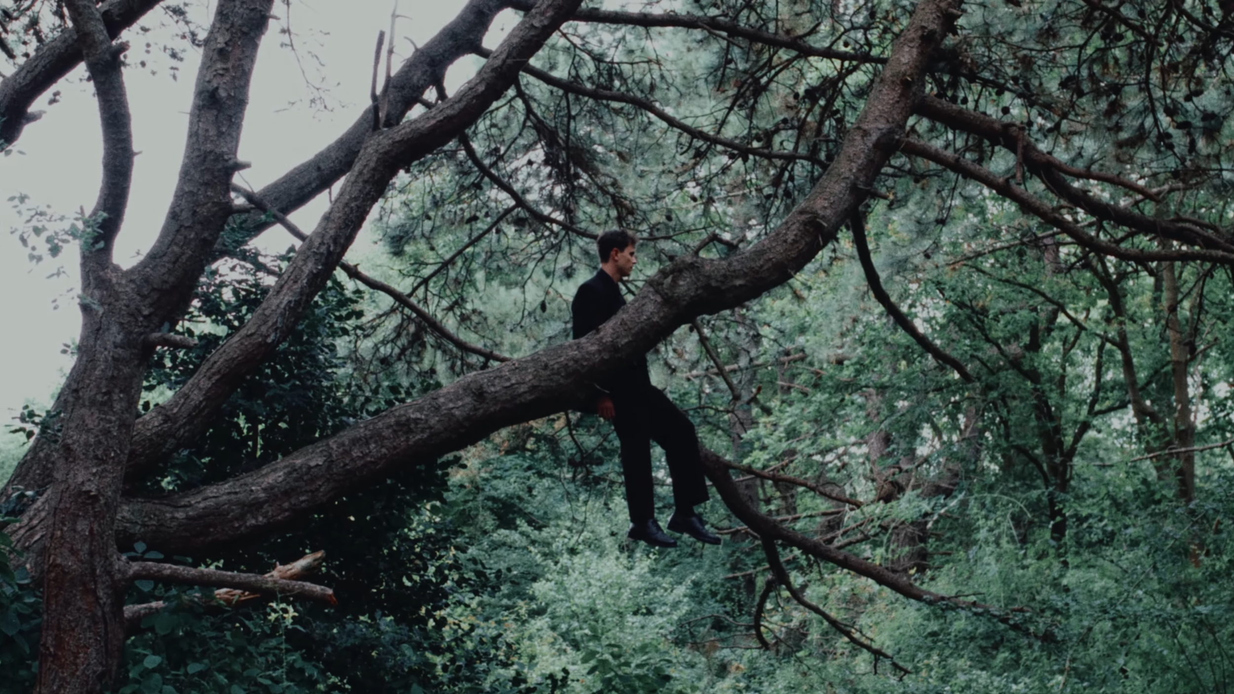 Screen Shot 2023-07-12 at 23.01.51.png