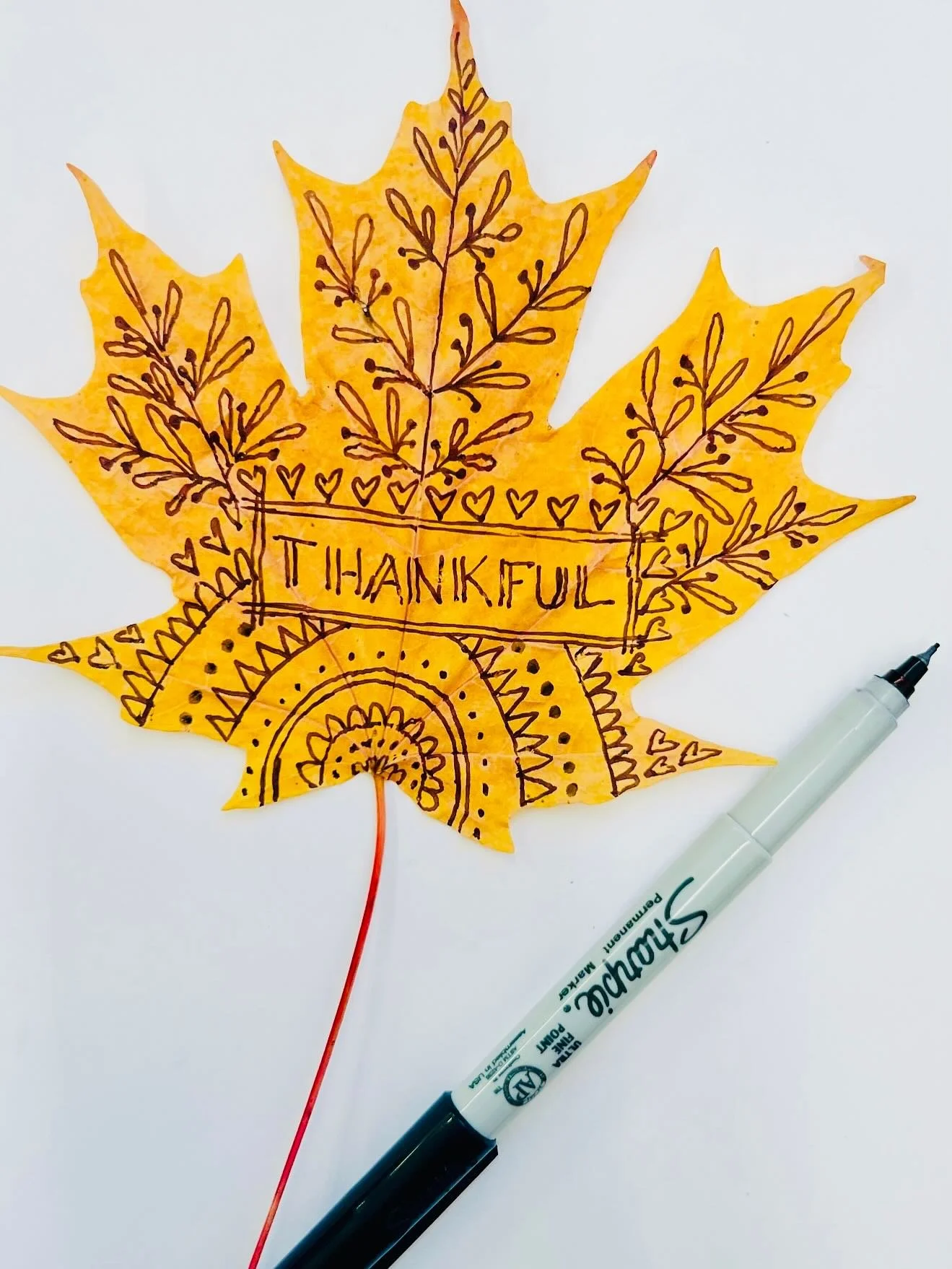 Yes, I&rsquo;m totally the one on the side of the road stopping to take photos of leaves and collect a few too! Honk and wave when you see me! Kicking off the week in November with a few of my favorite fall leaves and something you can do with each f