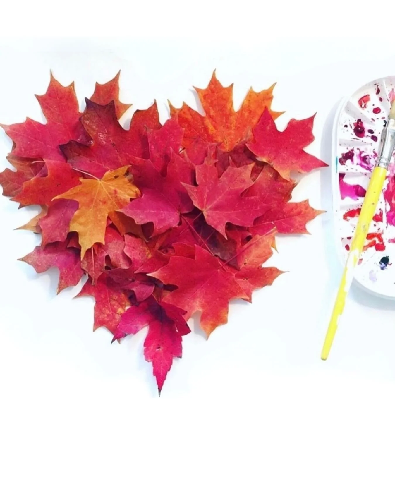 Bringing my ❤️ of AUTUMN into the STUDIO! 🍁
PS: Last day to shop online (no min) and be entered for my Friendsgiving giveaway! Win 2 original paintings- one for you to keep and one to bless the socks off someone you love. Winner announced tomorrow! 