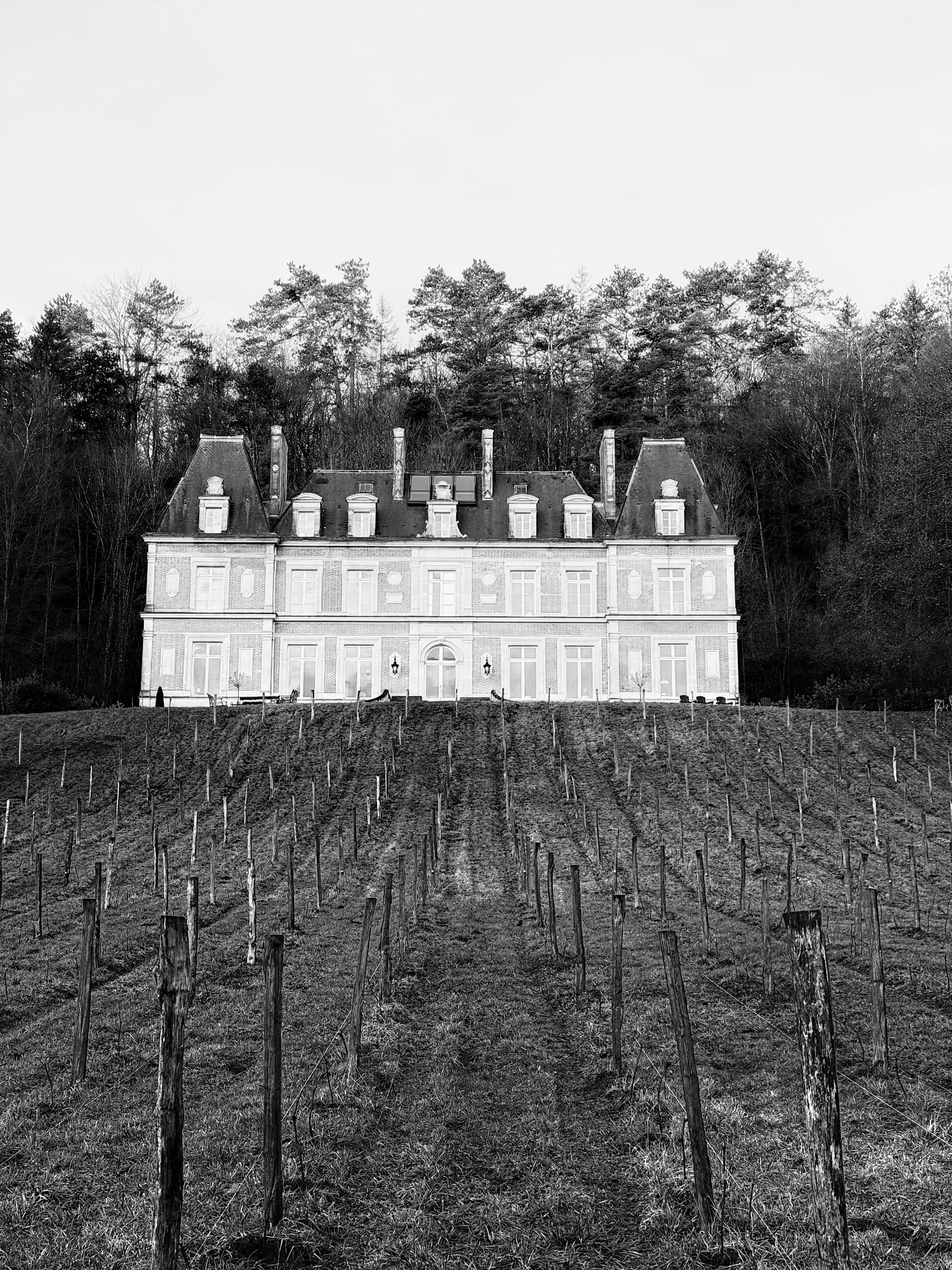 artist residency reflections