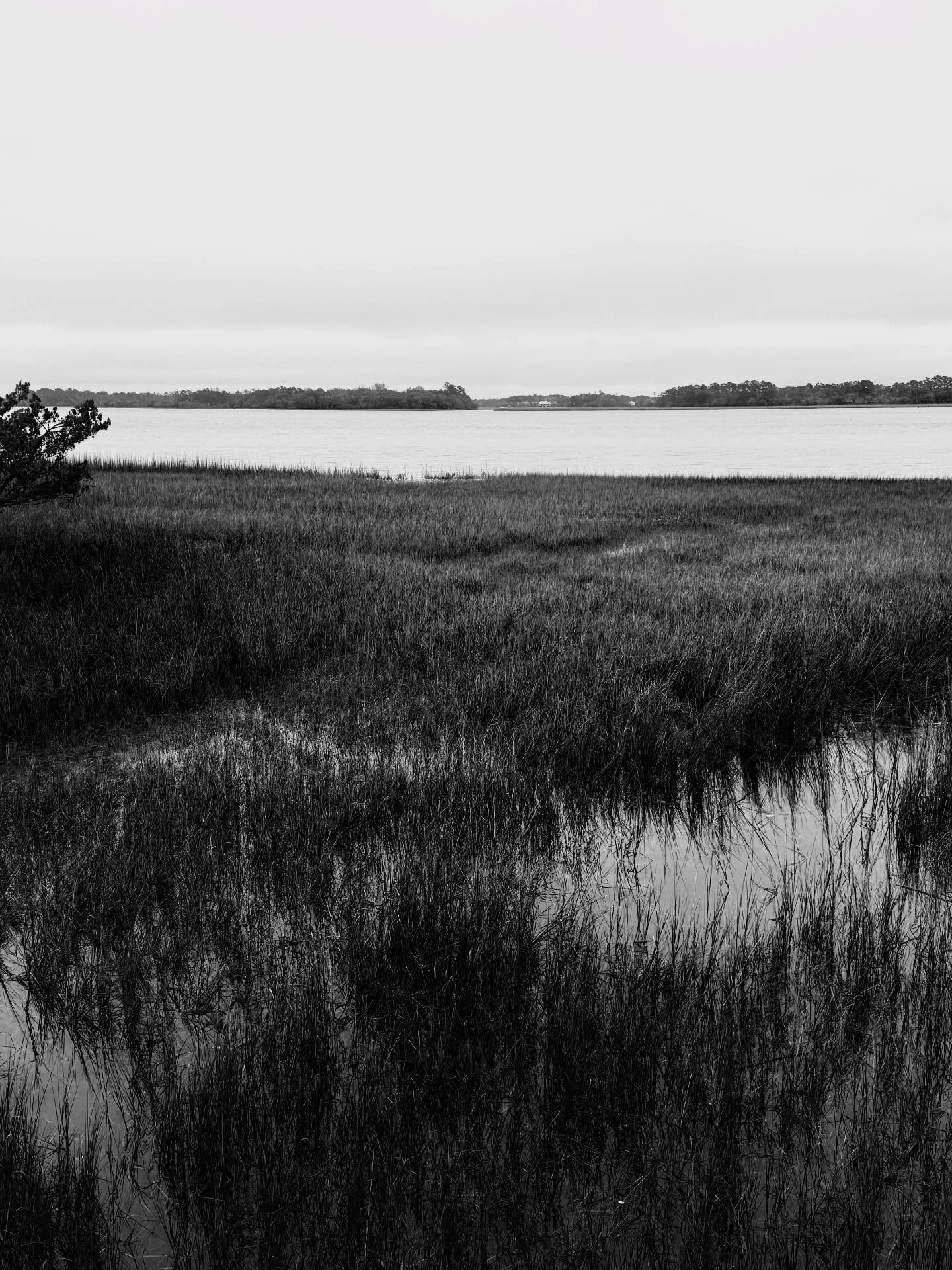 THE ART OF NOTICING&hellip; capturing moments, memories and ART in nature and the ordinary beauty of the low country. Inhaling peace and prayer while exhaling uncertainty and the worry of and for our world.