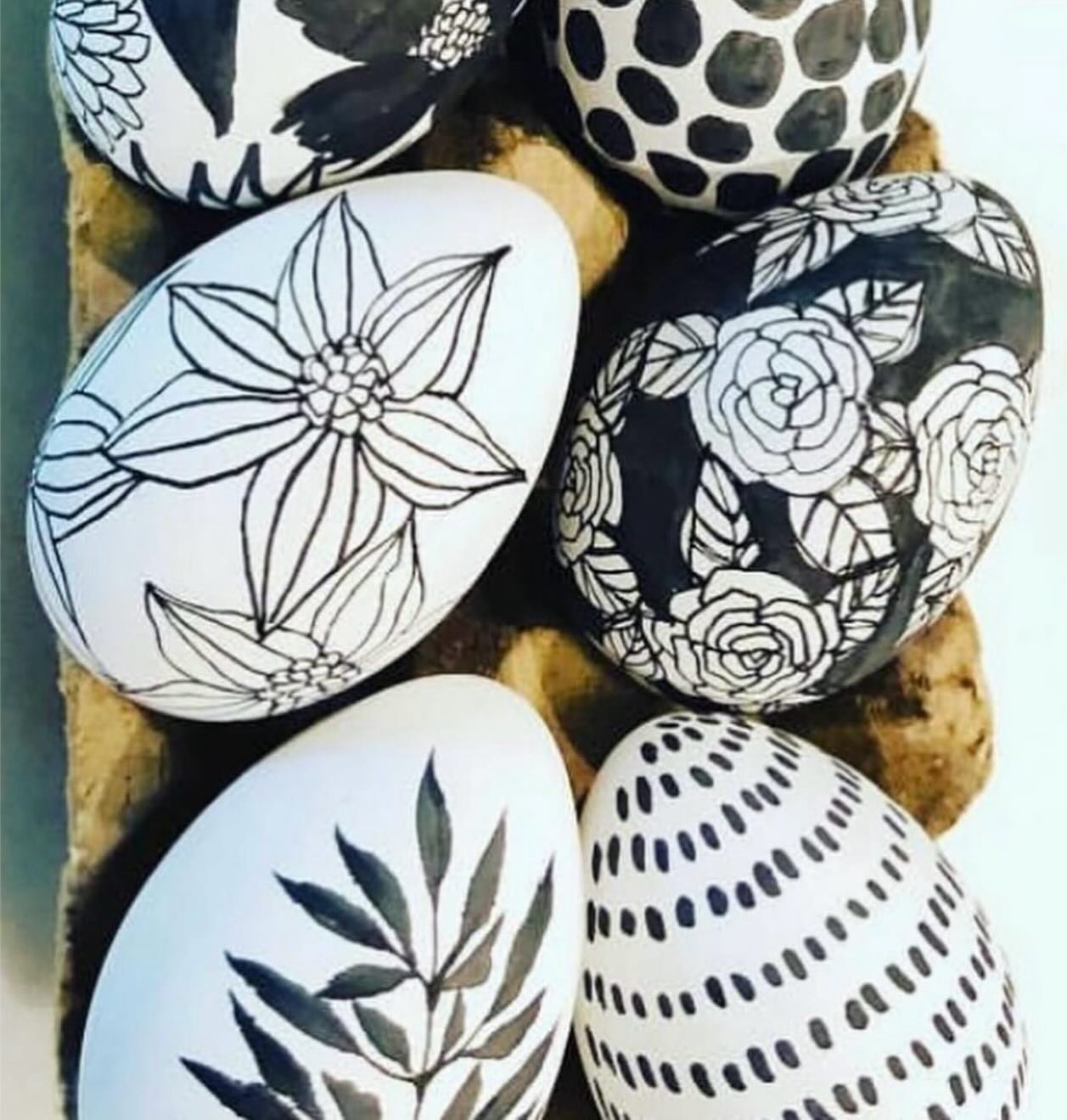 🖤🤍🖤🤍🖤🤍🖤🤍