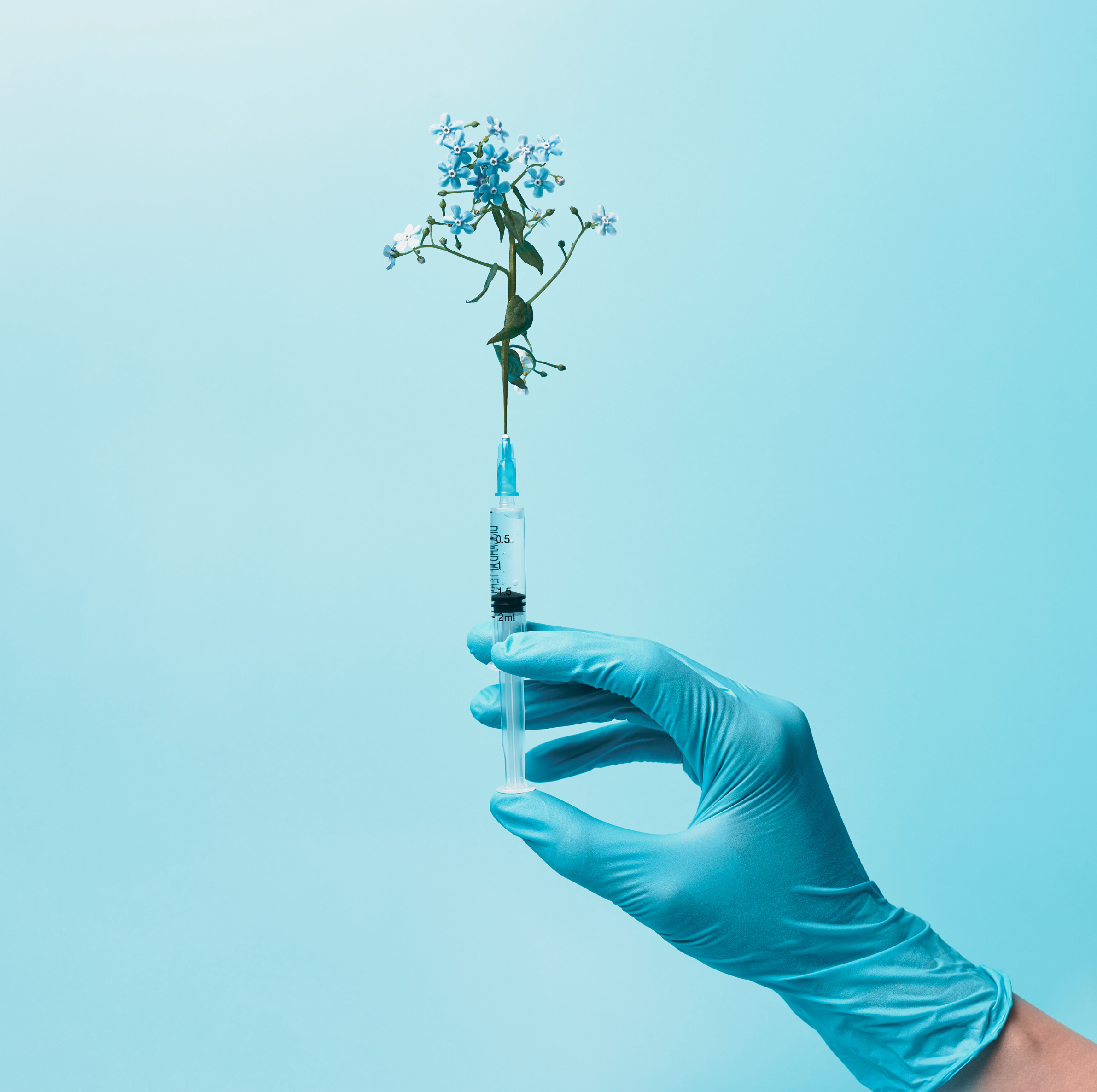 CHAPTER FORTY-NINE: The Rise of Medical Aesthetics
