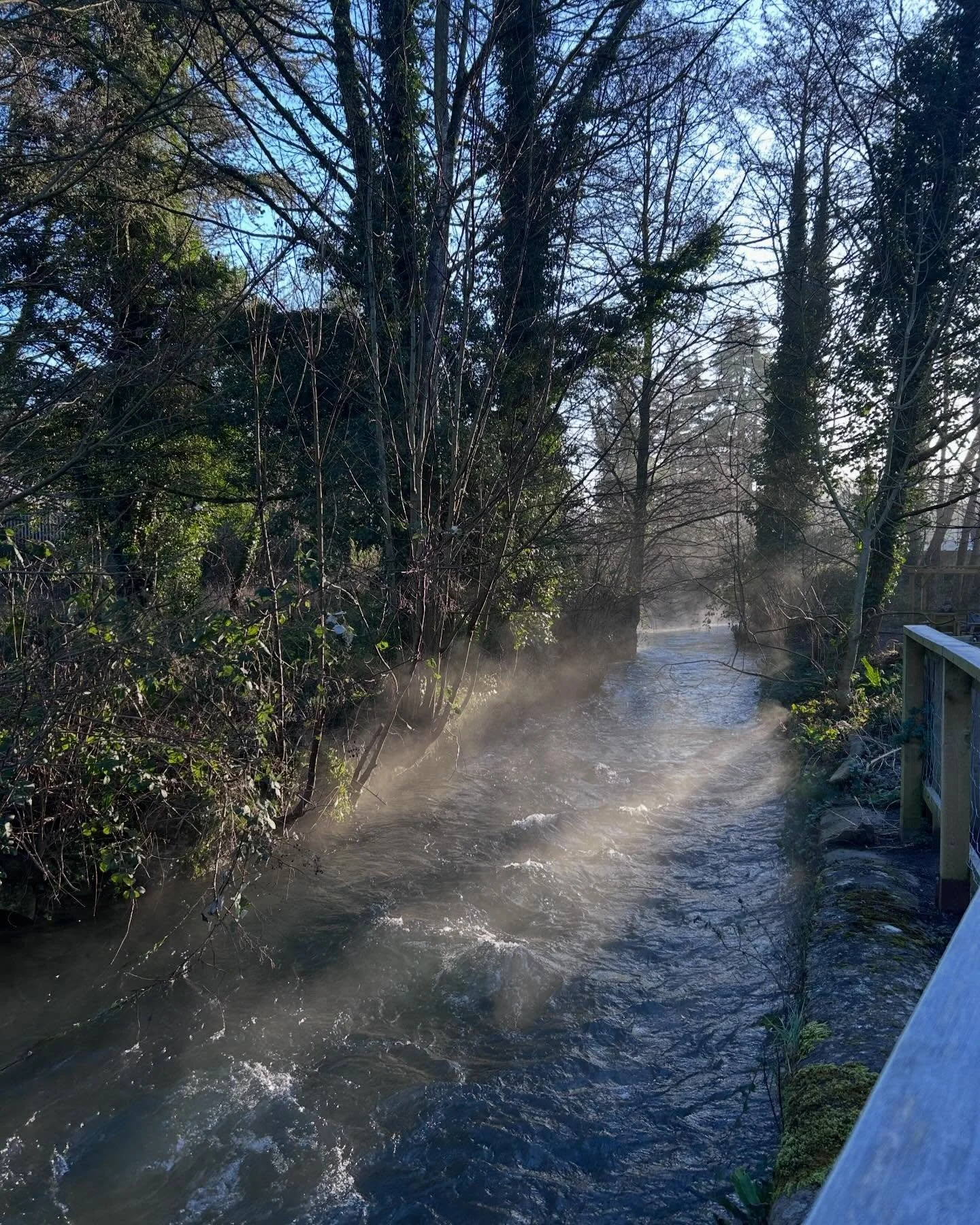 Come and CHICK out our full programme for Easter week 2 on our website.
Spaces still available for some of the events. Book online. 
Tuesday 7 April
	&bull;	10:00&ndash;12:30 &ndash; Kids Stuff drop-in craft table (make Hama beads).
	&bull;	13:00&nda