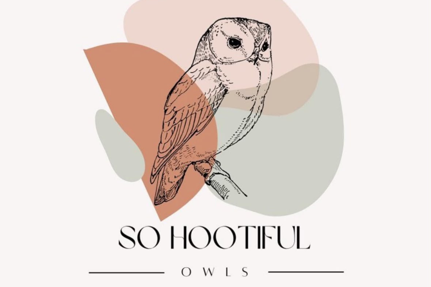 So Hootful Owls in the Sanctuary
