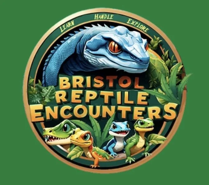 Bristol Reptile Encounters