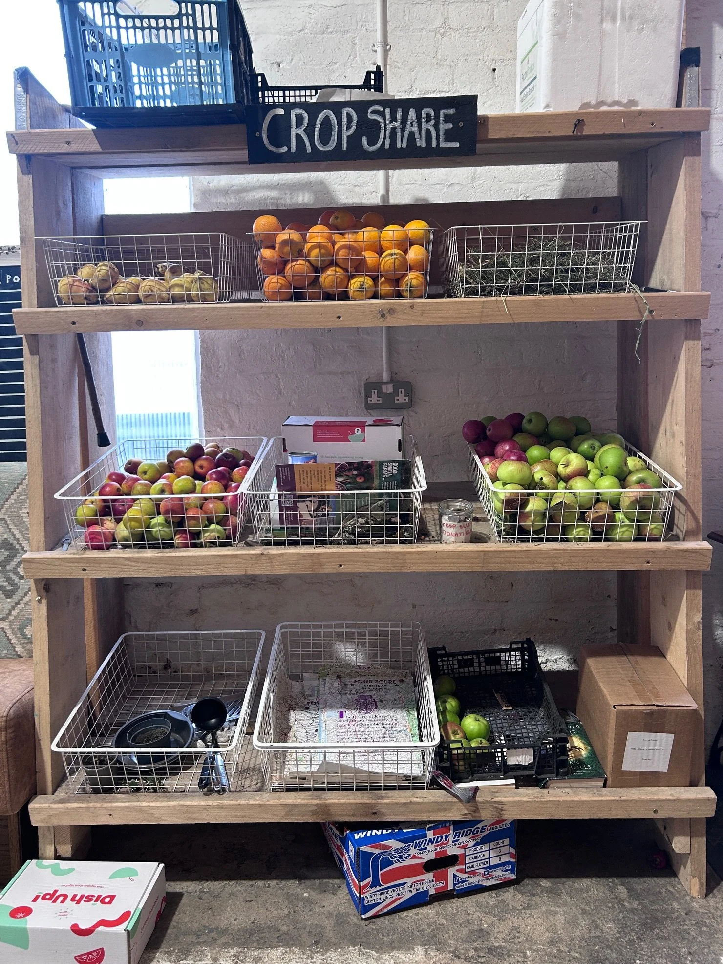 image of fruit and veg display