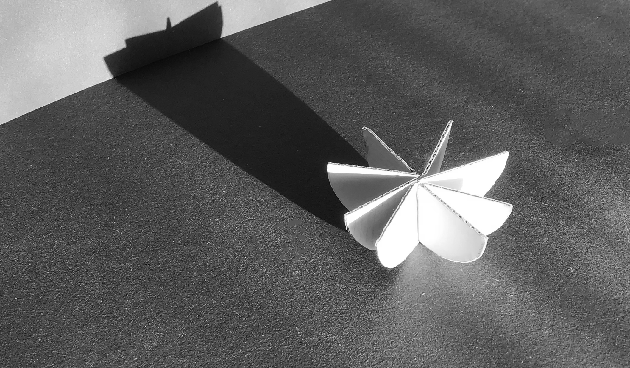 IMG_9755 bw.png