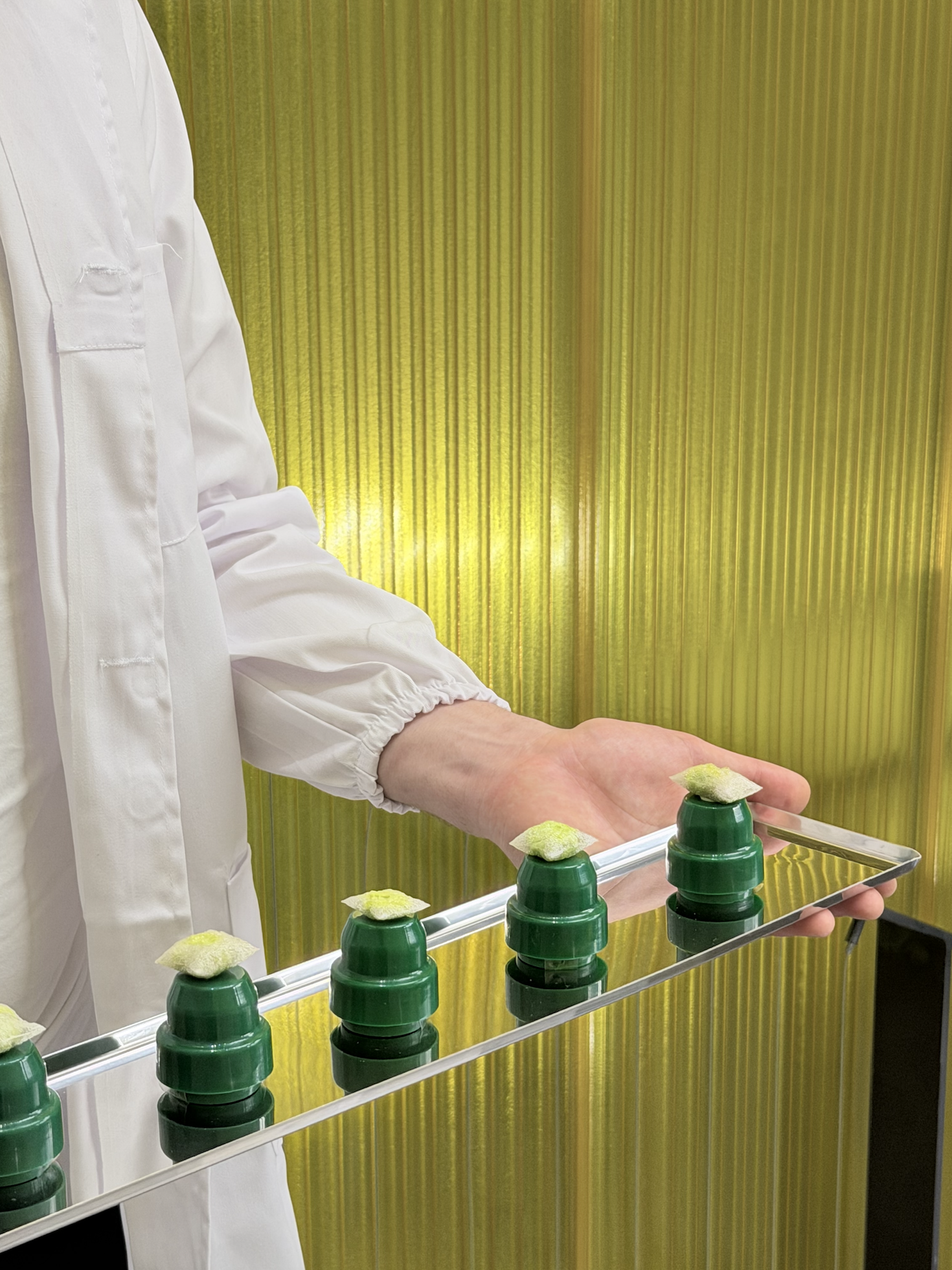 Screenshot 2026-03-23 at 16.20.37.png