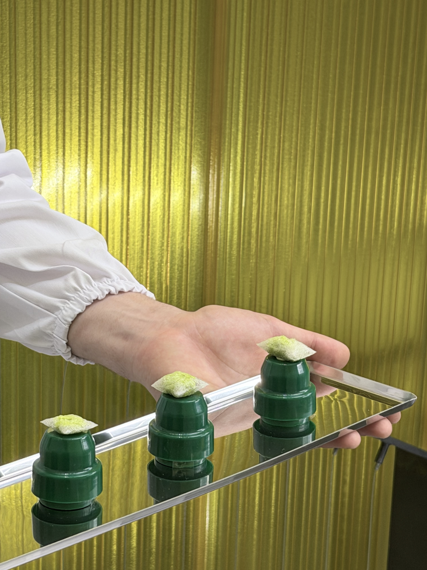 Screenshot 2026-03-23 at 16.21.03.png